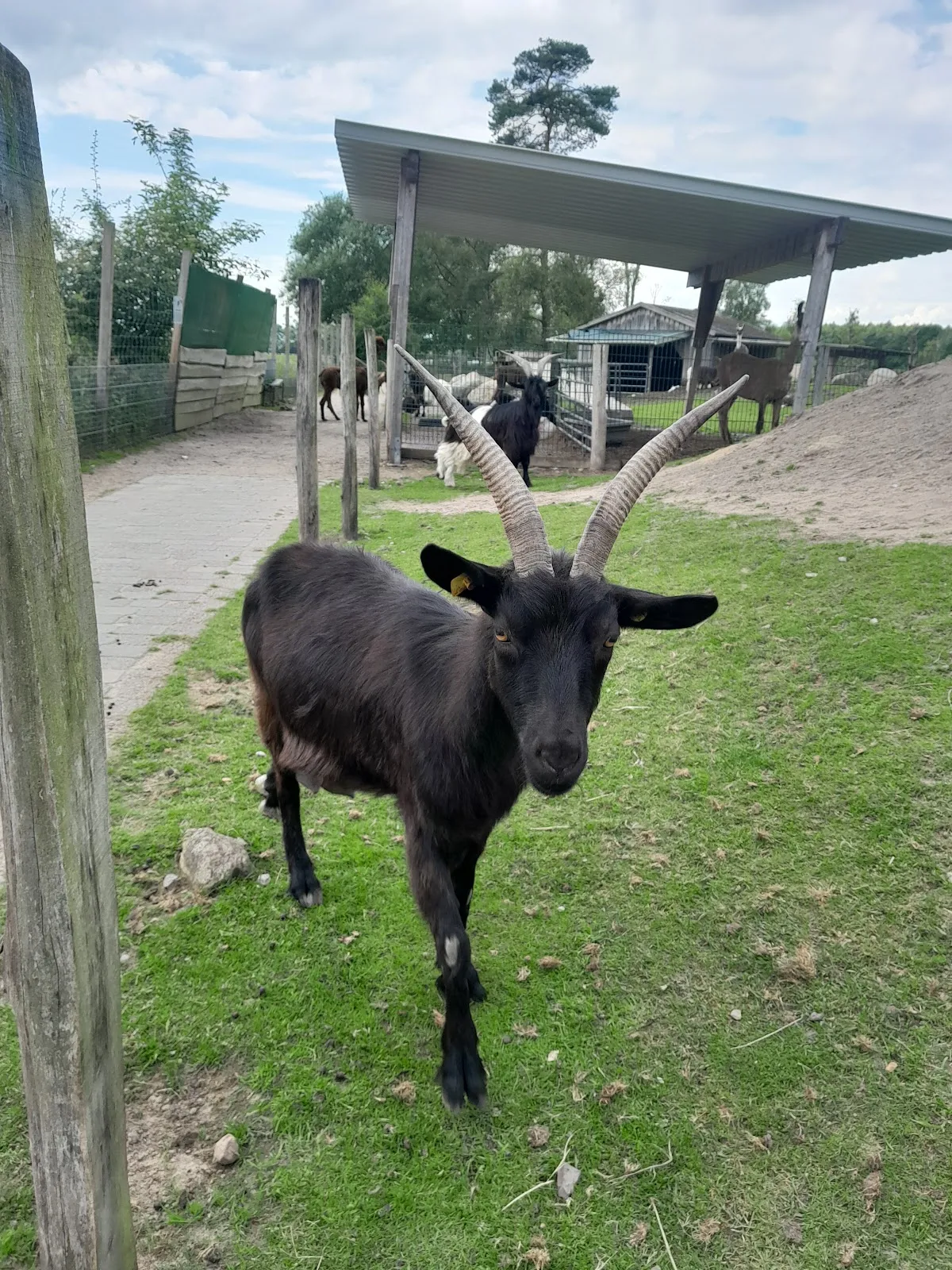 Парк Кукс-Арт, Беверштедт, Германия, аквариум, развлечения