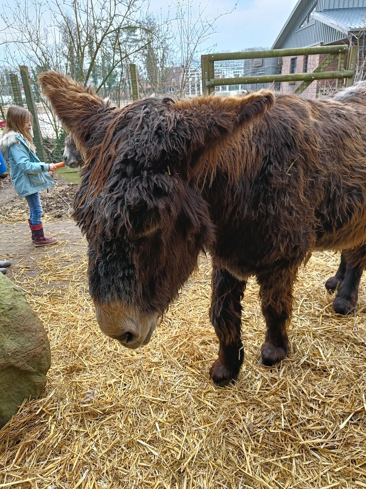 Парк Кукс-Арт, Беверштедт, Германия, аквариум, развлечения
