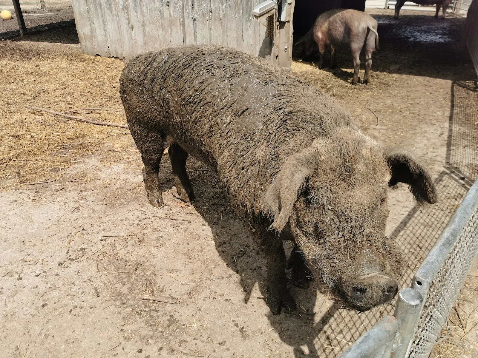 Парк Кукс-Арт, Беверштедт, Германия, аквариум, развлечения