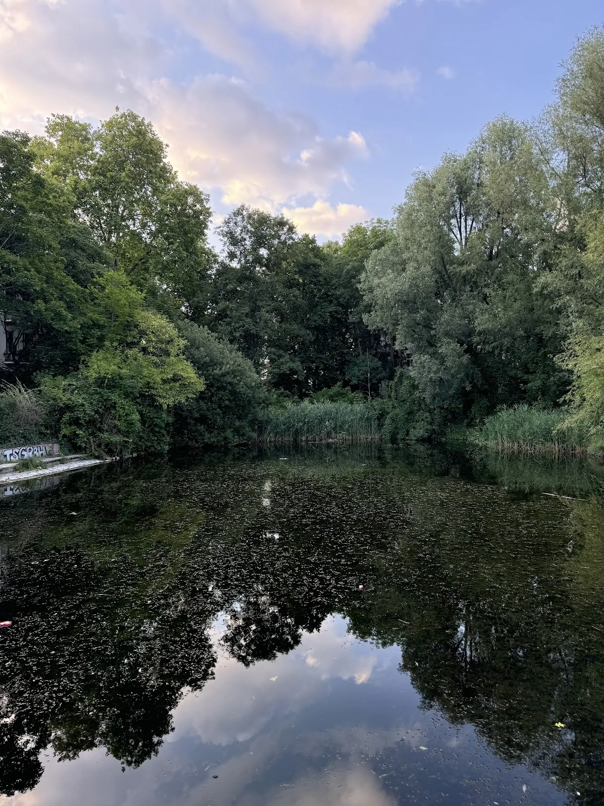 Парк Нелли Закс, зеленые деревья и аллеи