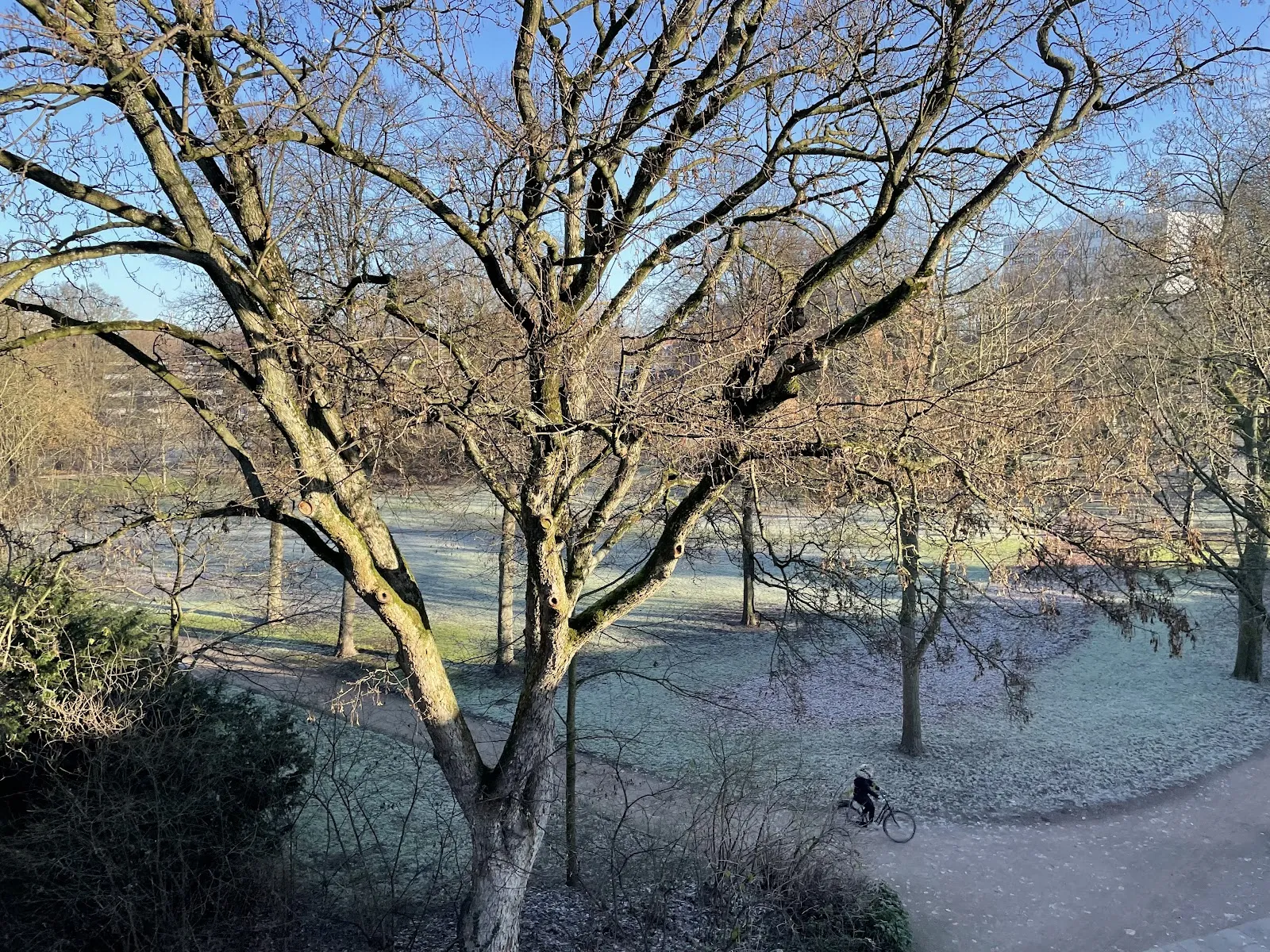 Парк Нойшванштайн в Бремене, зеленый парк с деревьями и тропинками