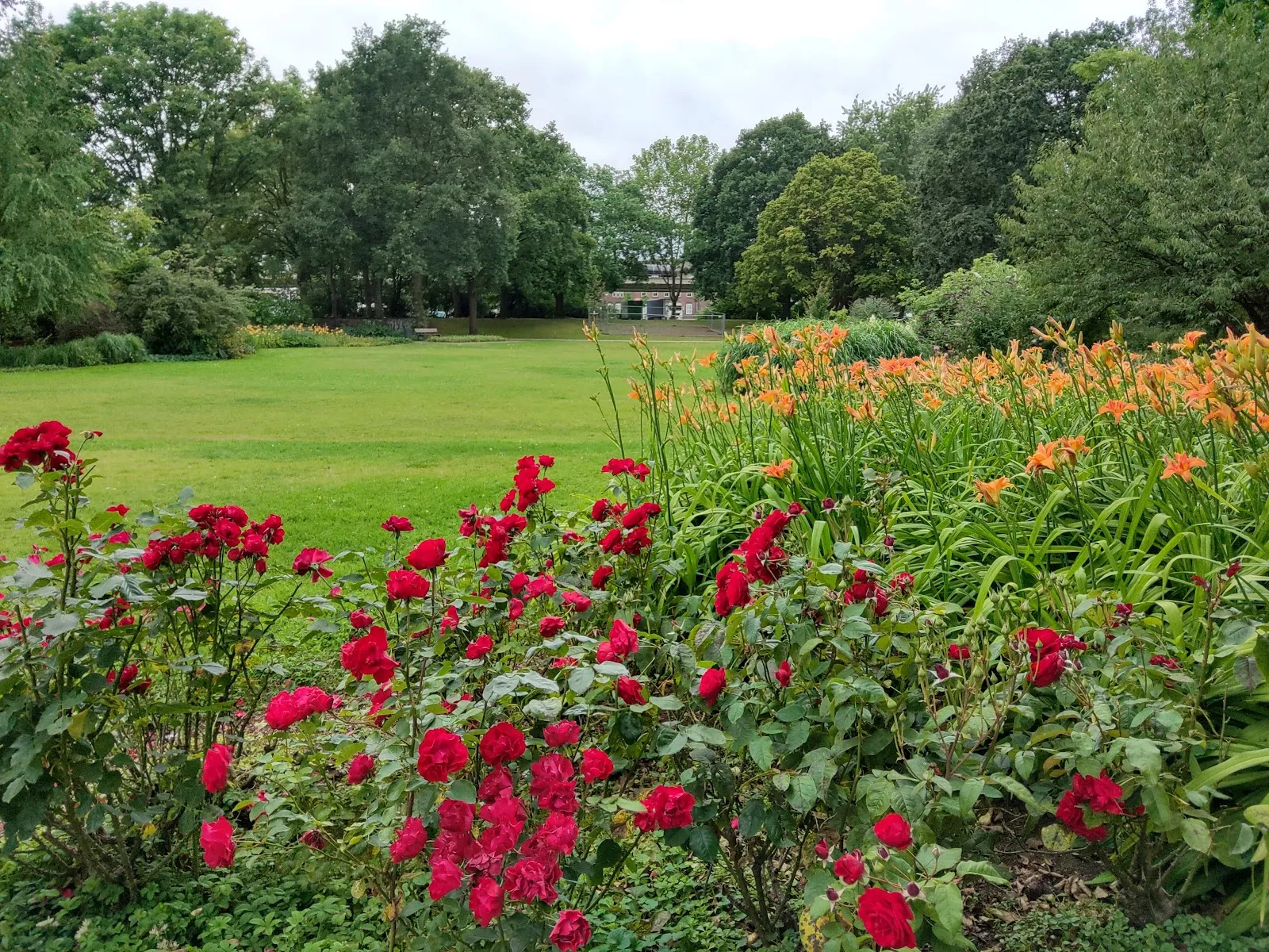 Парк Нойшванштайн в Бремене, зеленый парк с деревьями и тропинками
