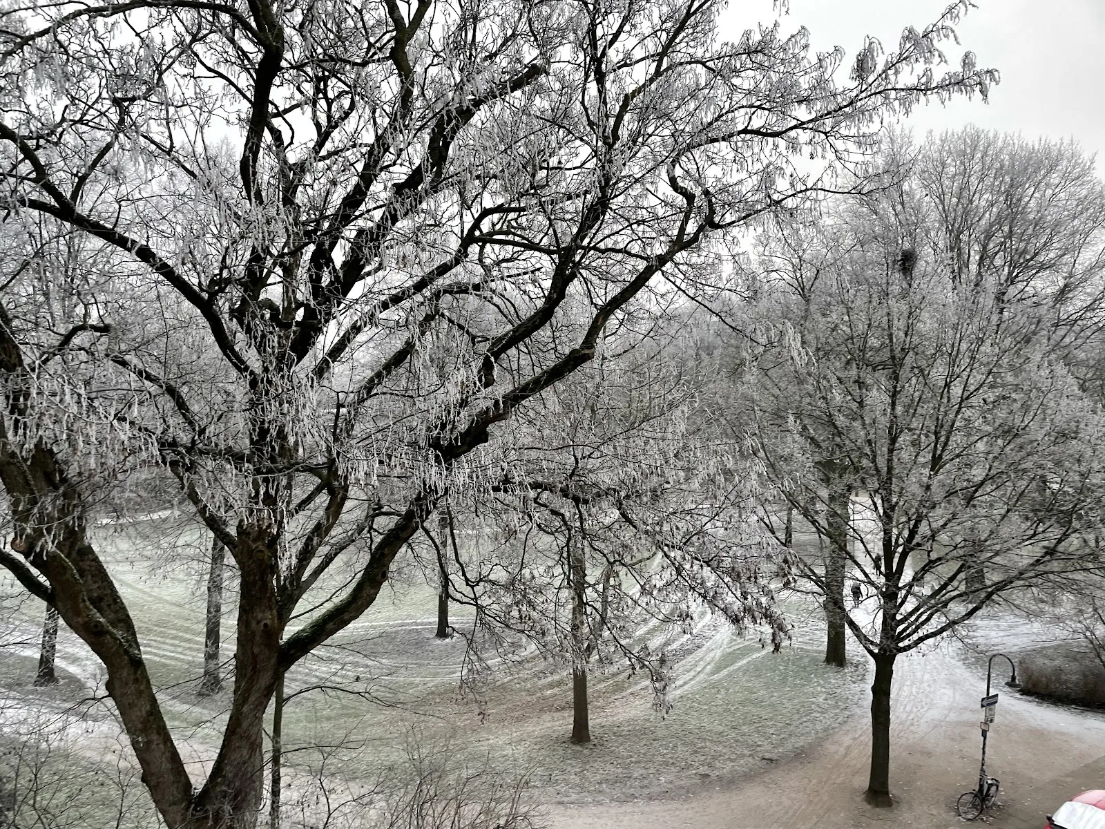 Парк Нойшванштайн в Бремене, зеленый парк с деревьями и тропинками