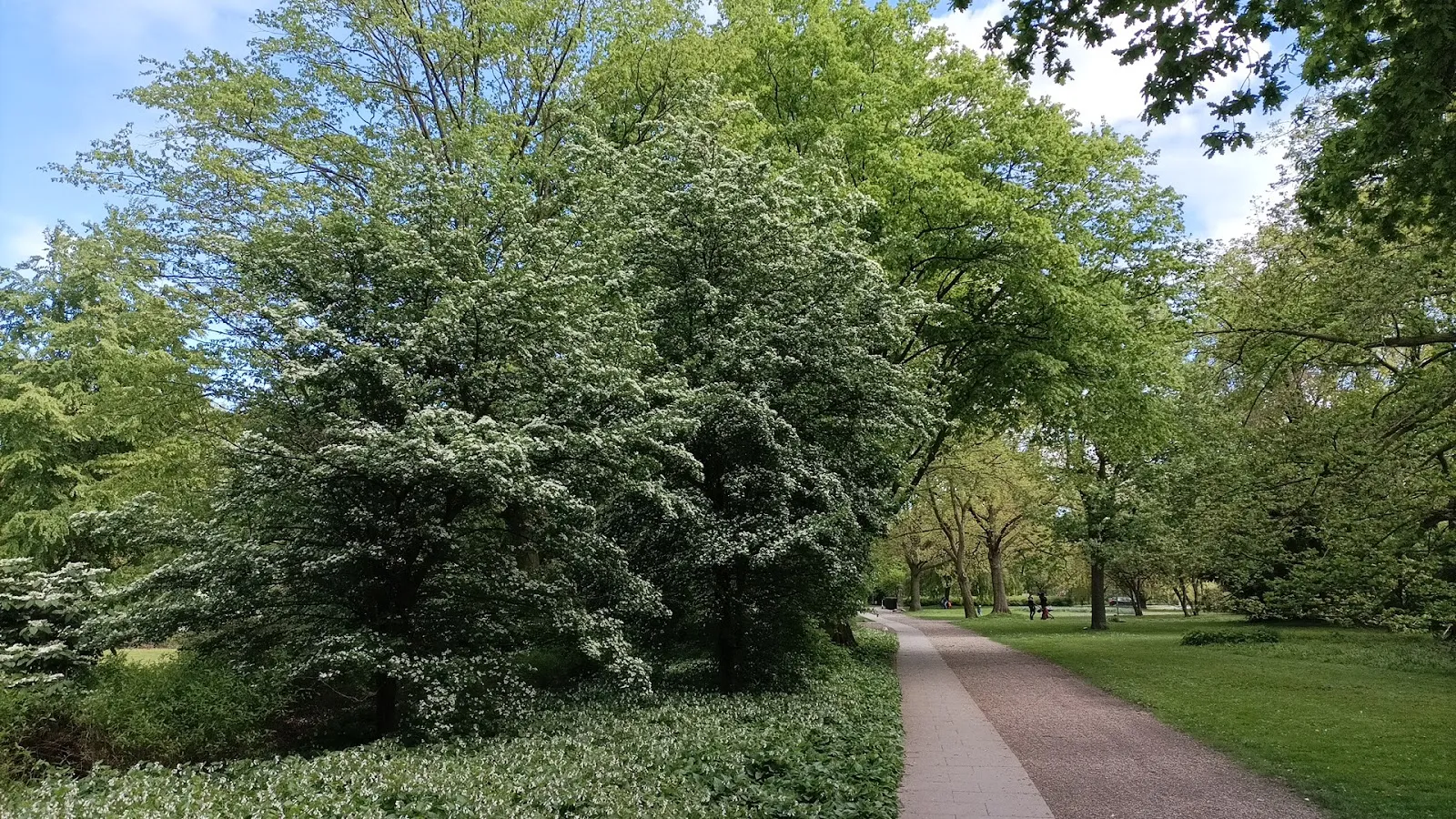 Парк Нойшванштайн в Бремене, зеленый парк с деревьями и тропинками