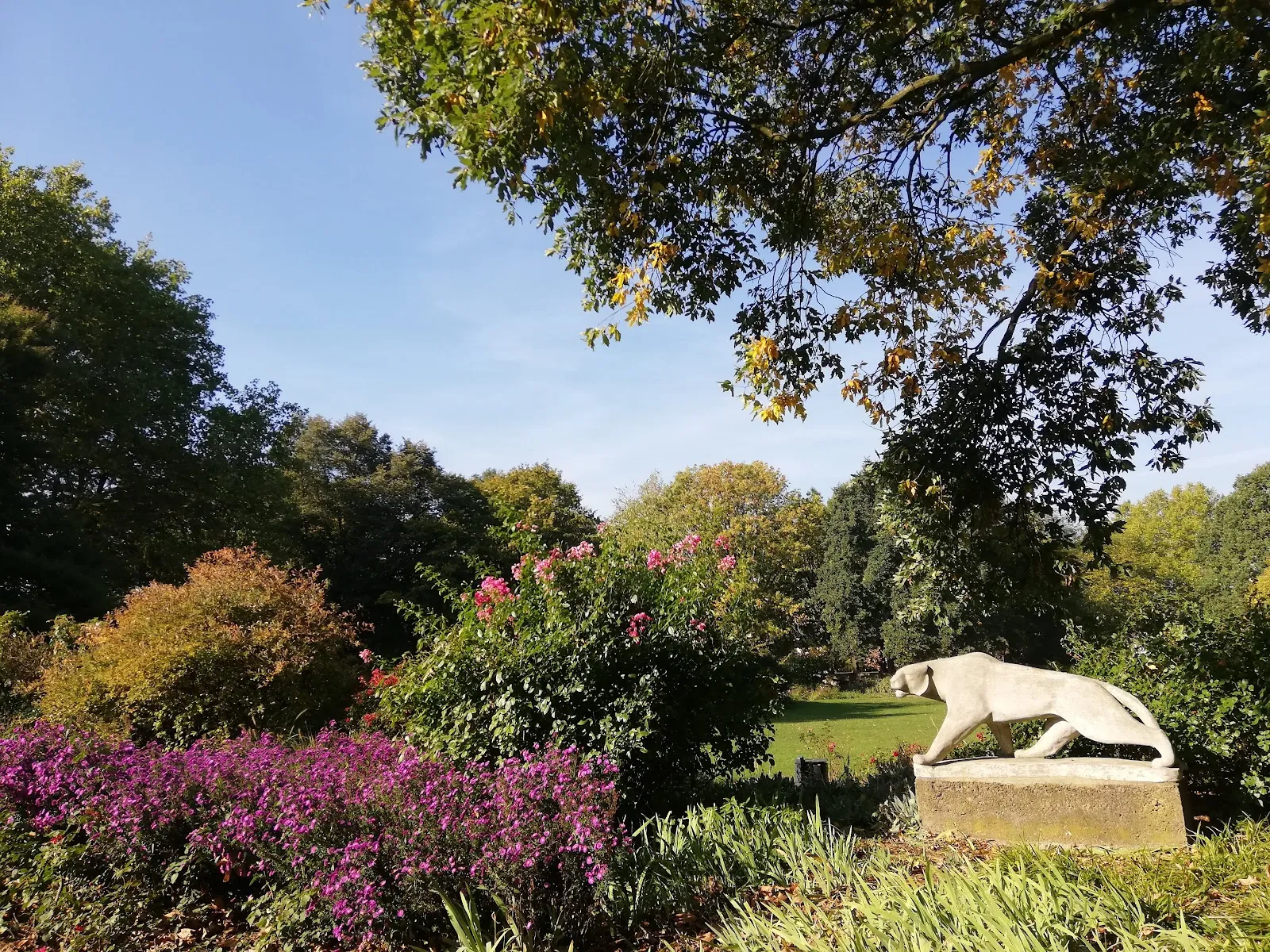 Парк Нойшванштайн в Бремене, зеленый парк с деревьями и тропинками