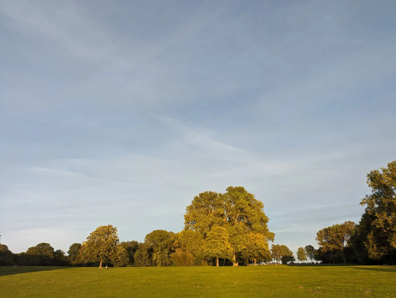 Парк Ойендорфер в Гамбурге с зелёными лужайками и деревьями