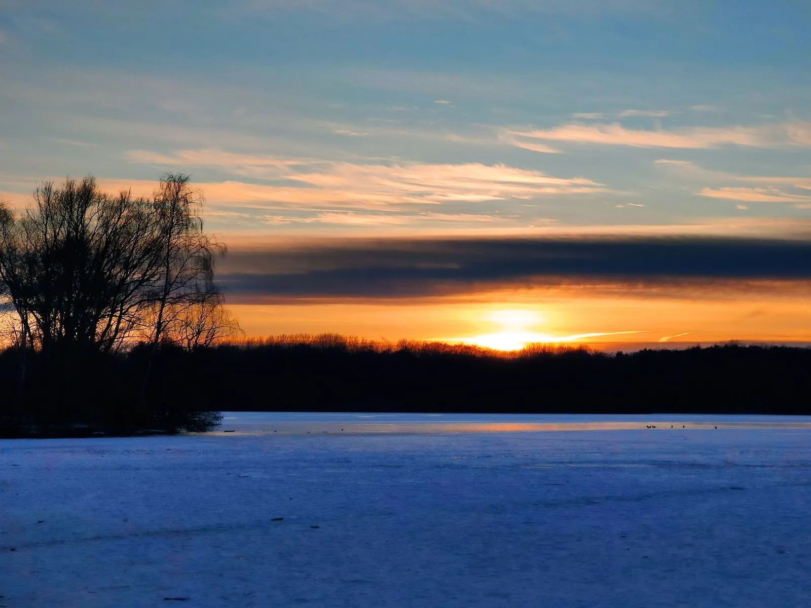 Парк Ойендорфер в Гамбурге с зелёными лужайками и деревьями