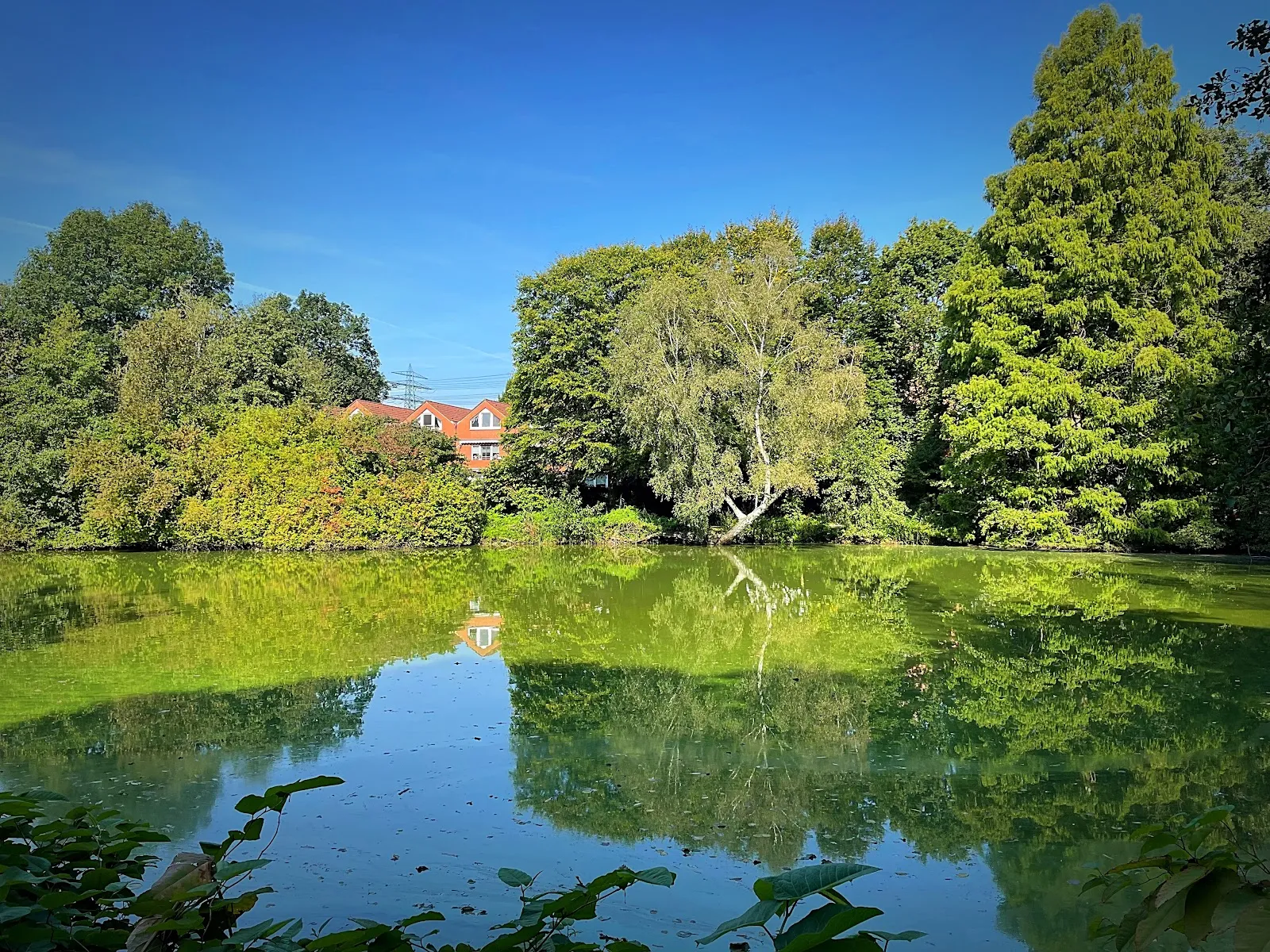 Парк Ойендорфер в Гамбурге с зелёными лужайками и деревьями