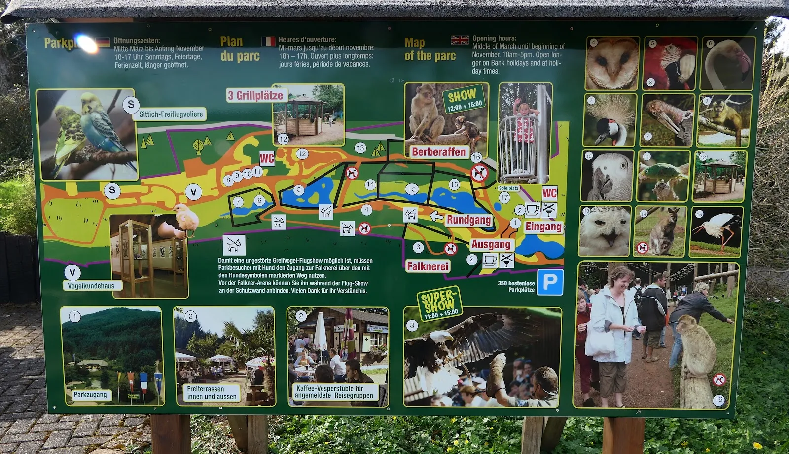 Парк птиц Штайнен