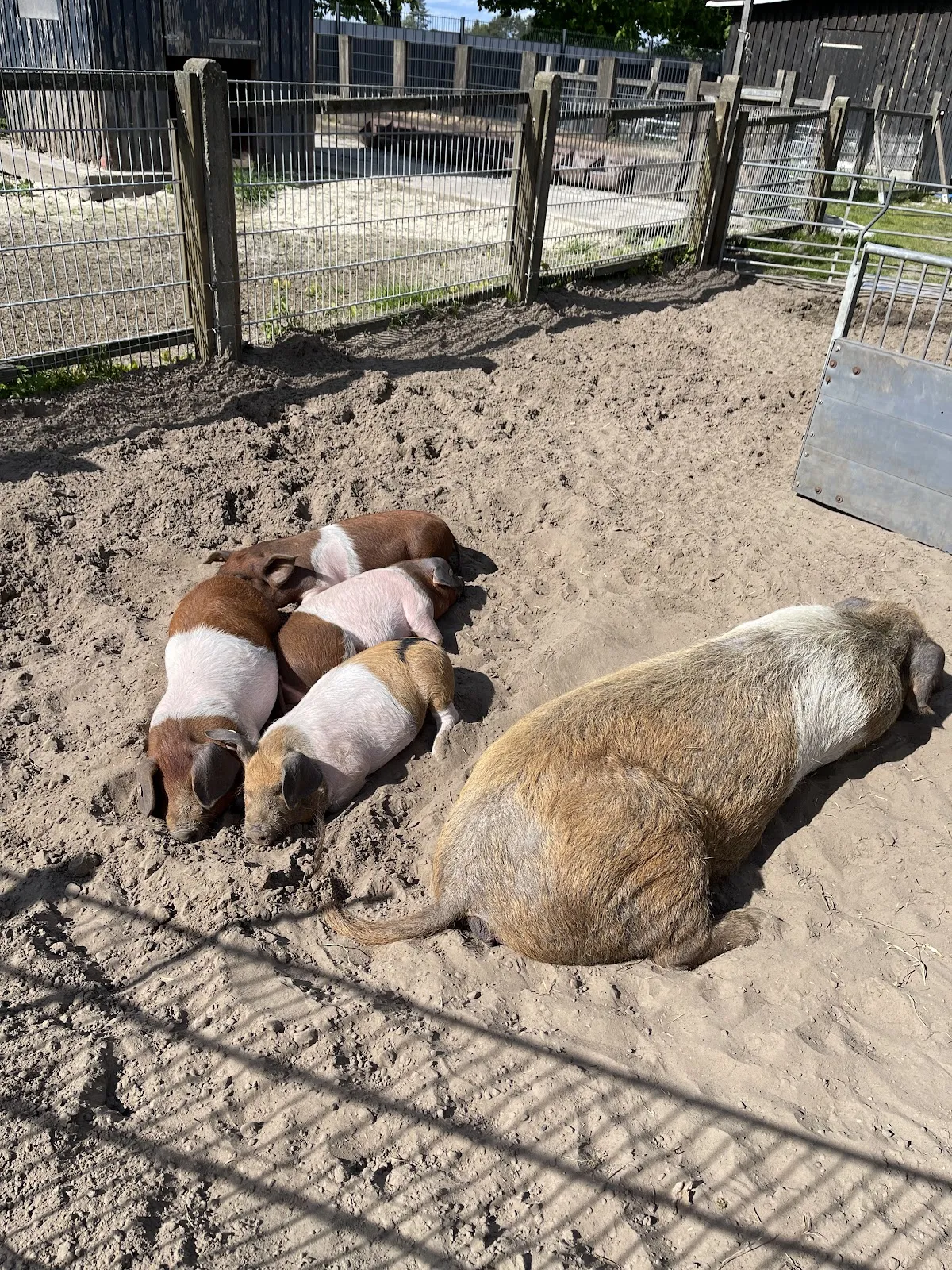 Логотип или фото входа в парк развлечений MAFZ Erlebnispark Paaren bei Berlin