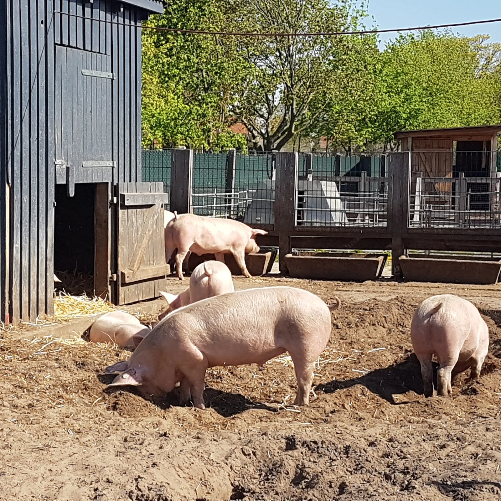 Логотип или фото входа в парк развлечений MAFZ Erlebnispark Paaren bei Berlin