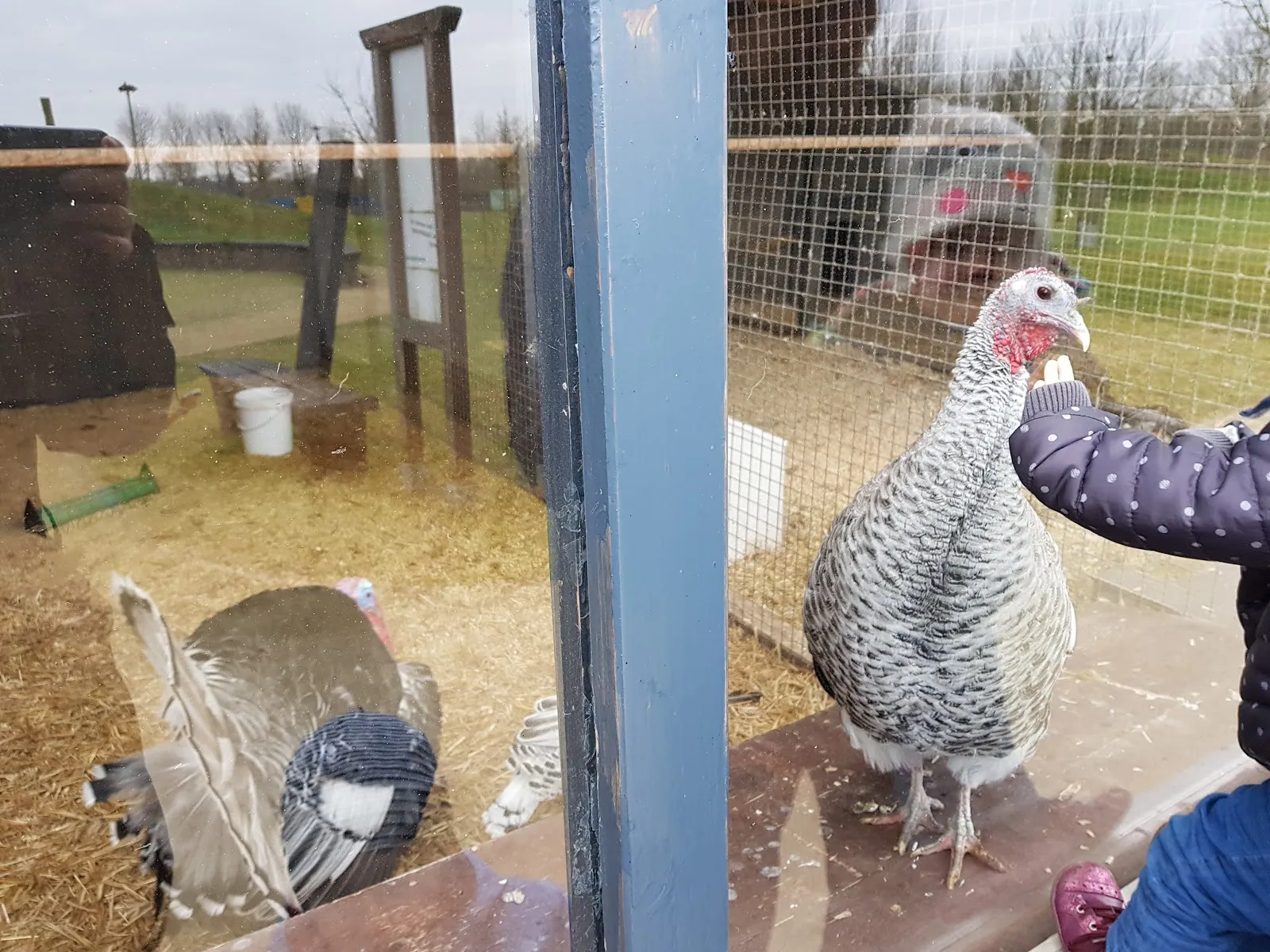 Логотип или фото входа в парк развлечений MAFZ Erlebnispark Paaren bei Berlin