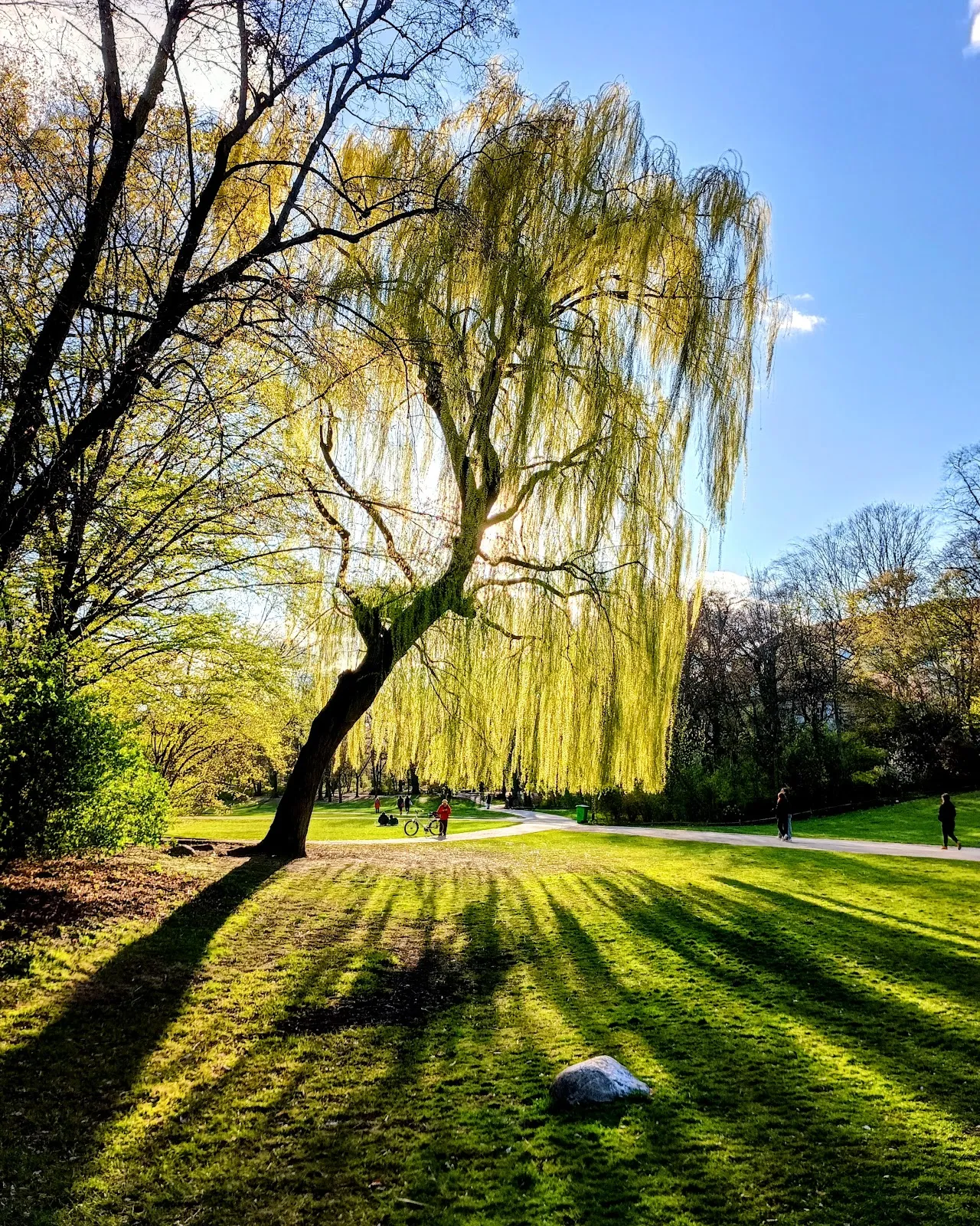 Парк Рудольфа Вильде, Берлин, Германия
