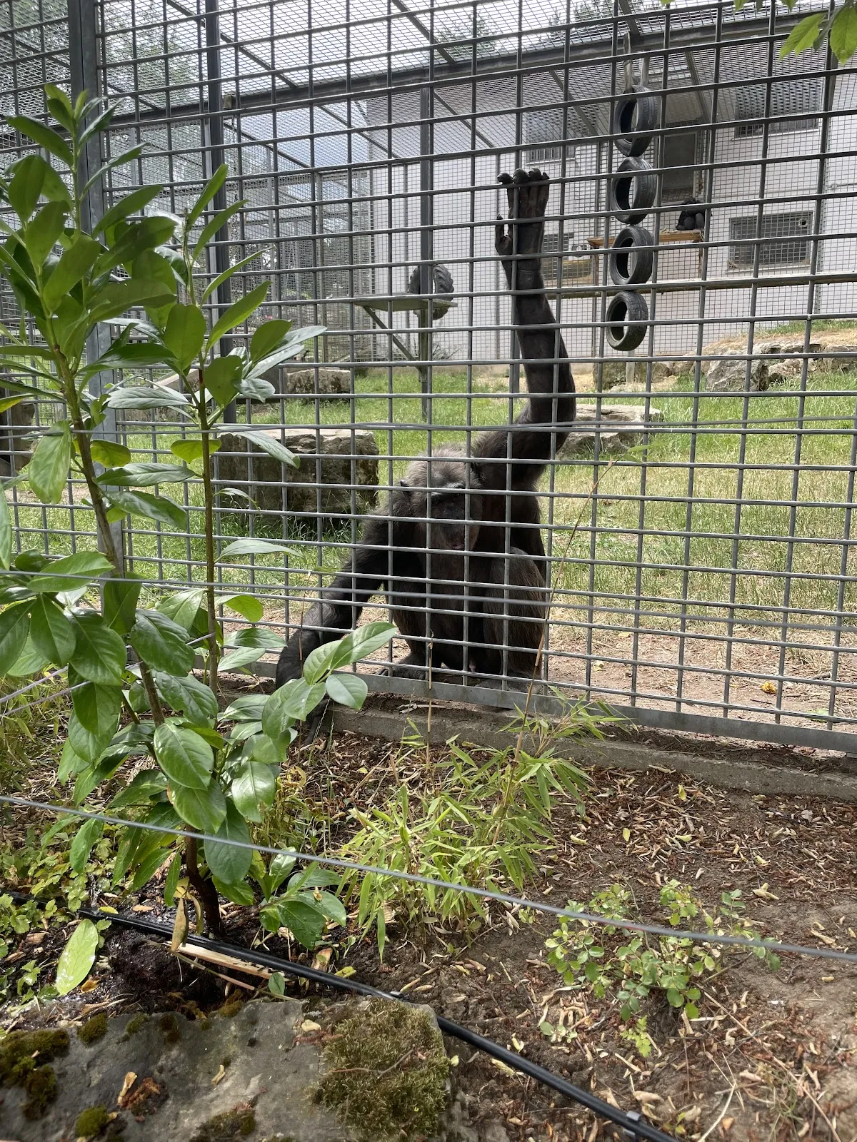 Парк Швабен в Кайзерсбахе, Германия