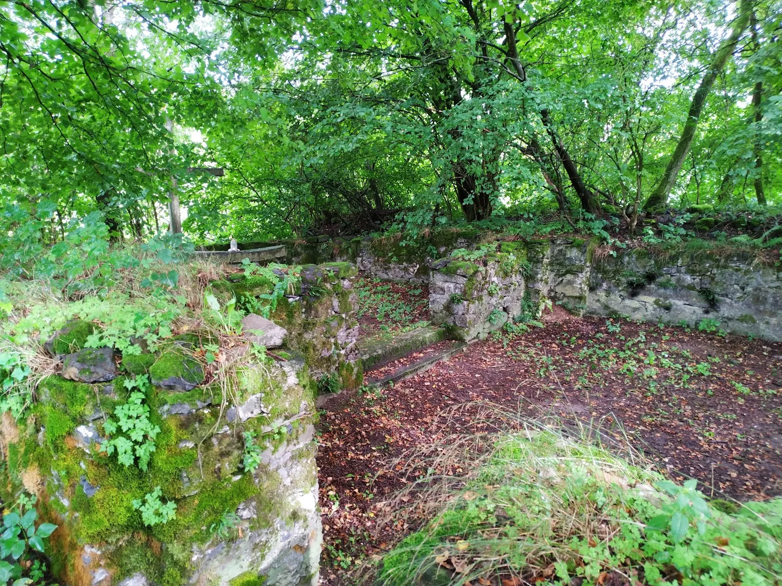 Пейзаж парка Талауэн с деревьями и зеленью