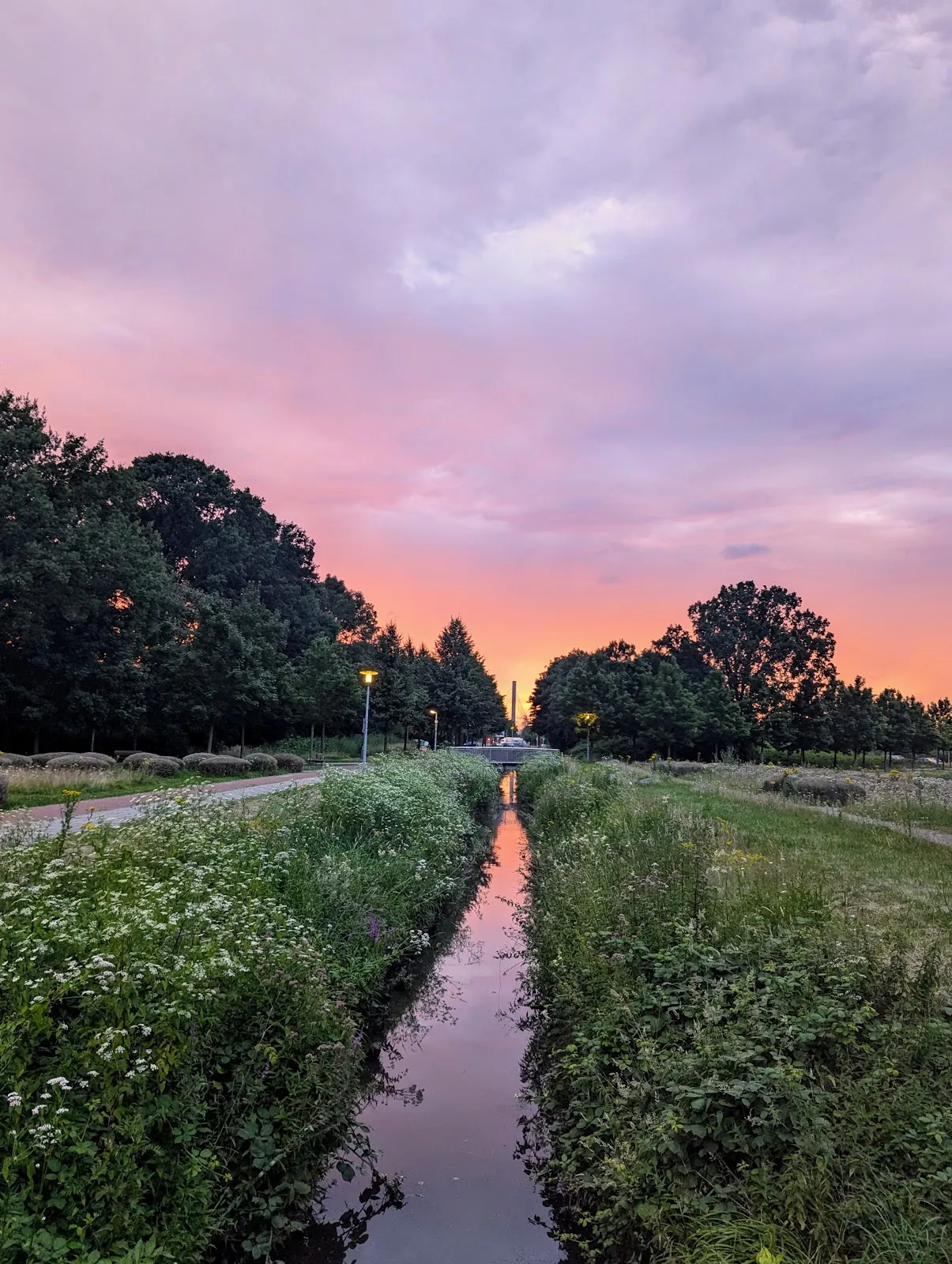 Парк у аэропорта Бремен с деревьями и газоном