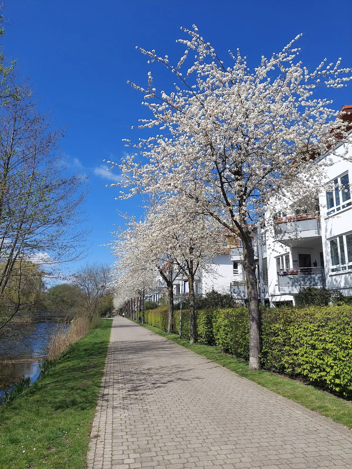 Парк Вайдедамм в Бремене, Германия