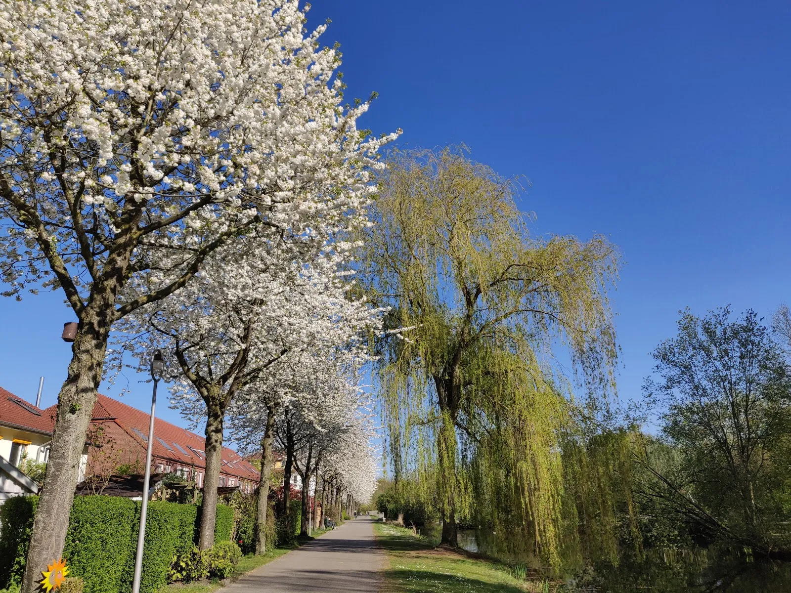Парк Вайдедамм в Бремене, Германия