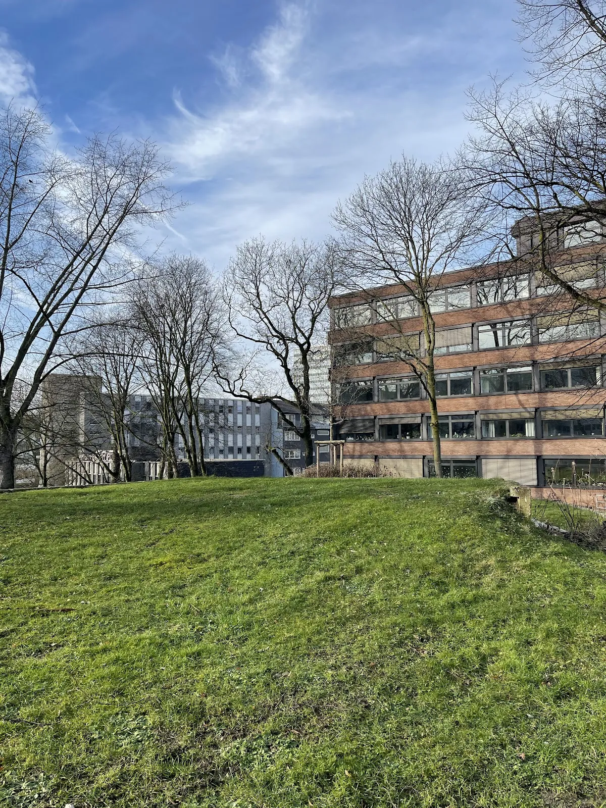 Зеленый парк Вальдтхаузен в Эссене с деревьями и дорожками