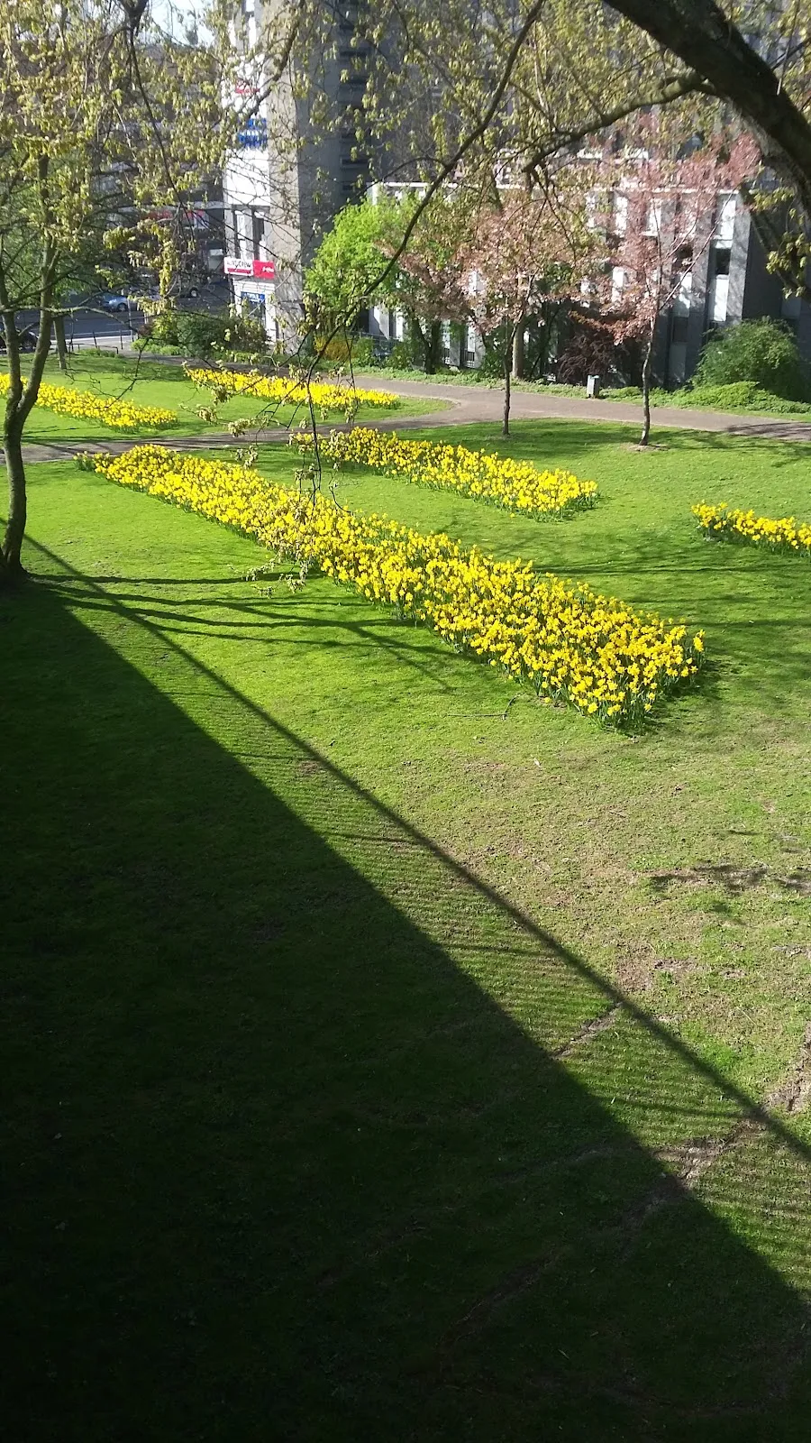 Зеленый парк Вальдтхаузен в Эссене с деревьями и дорожками