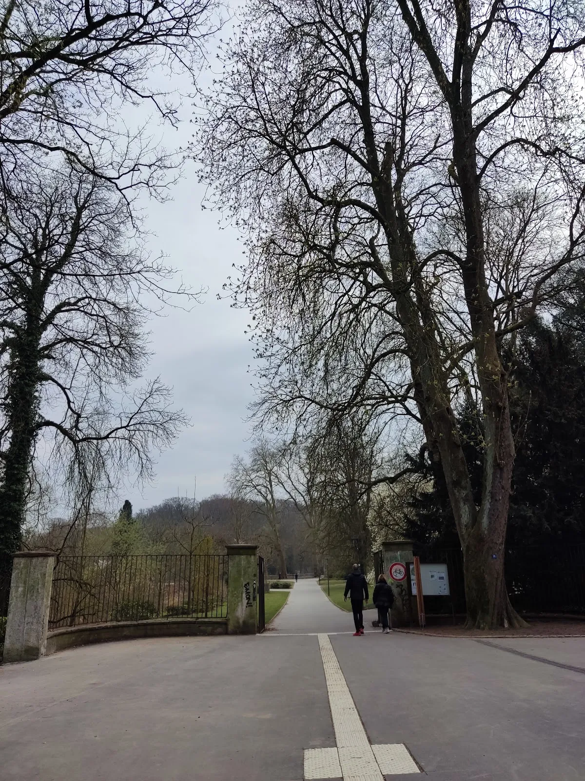 Зеленый парк Вальдтхаузен в Эссене с деревьями и дорожками