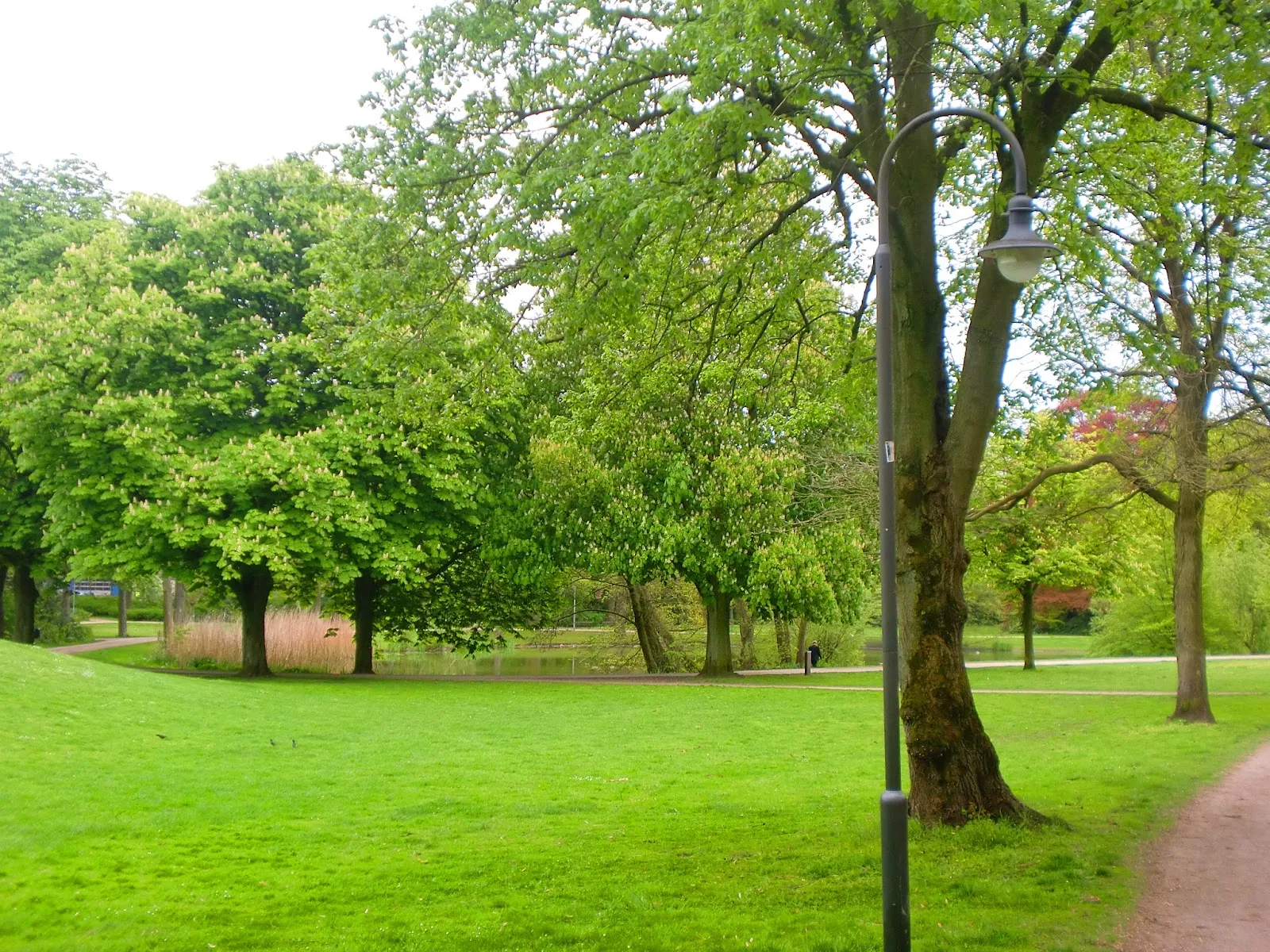 Парк Валлер