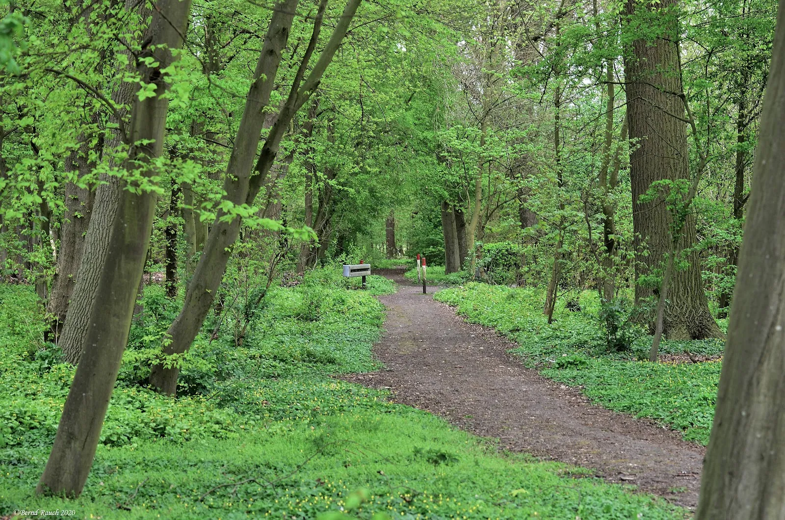 Парк Вольфскулен в Бремене