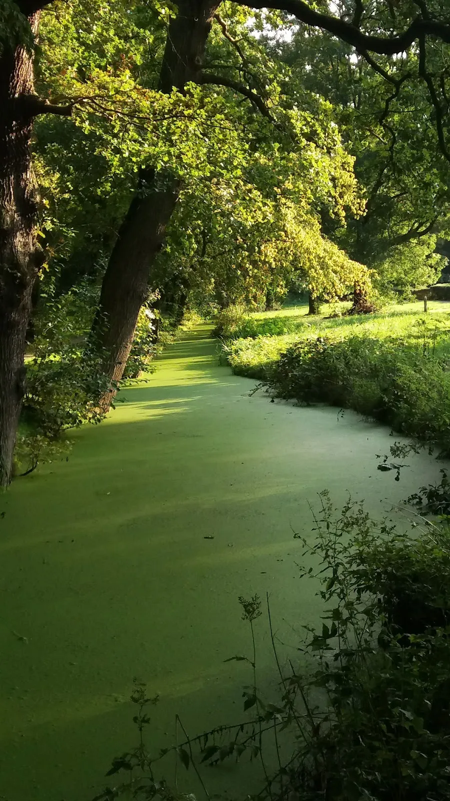 Парк Вольфскулен в Бремене
