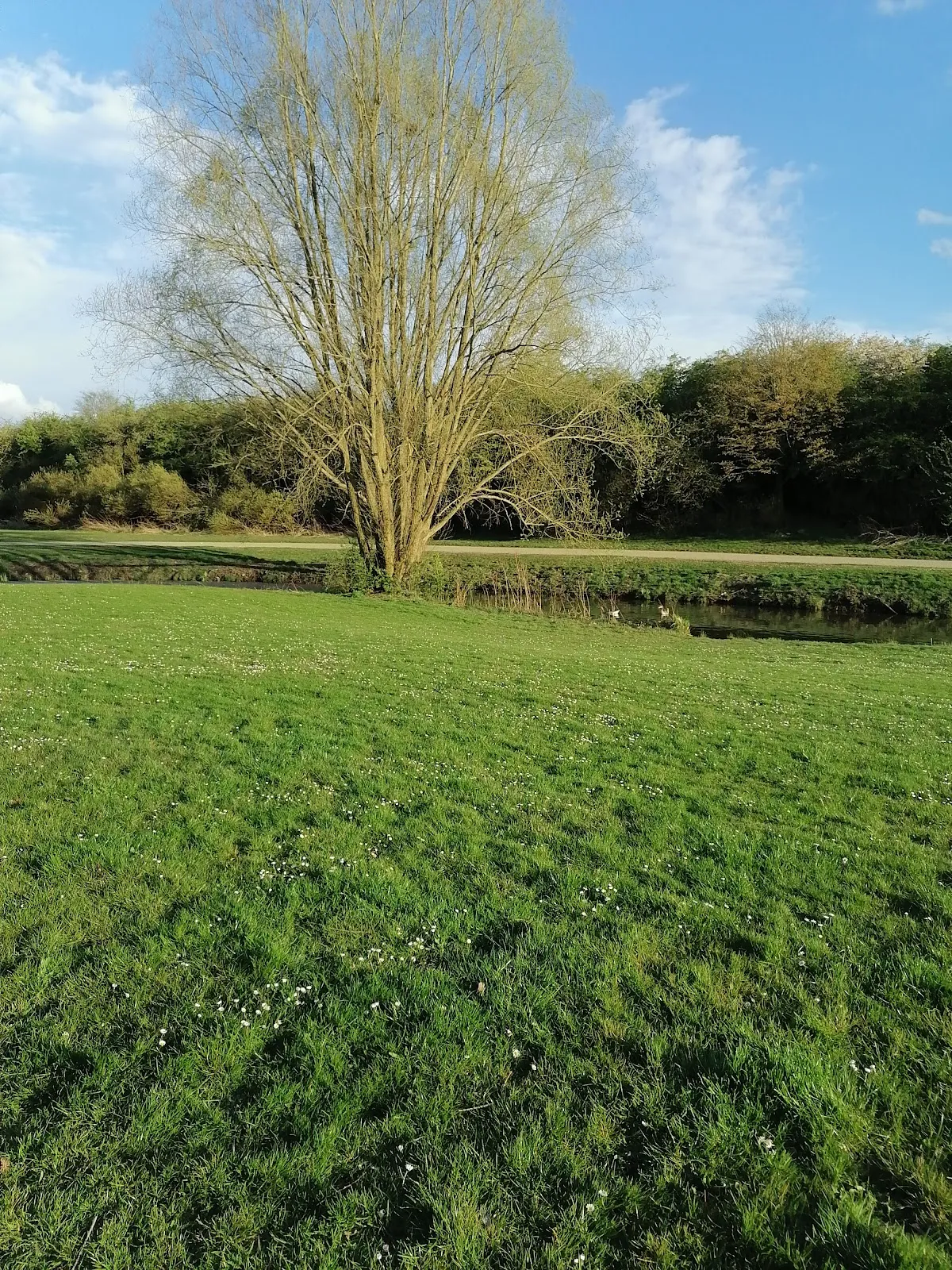 Парк Вольфскулен в Бремене