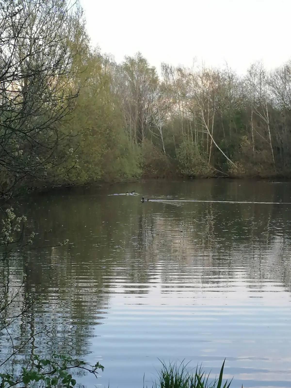 Парк Вольфскулен в Бремене