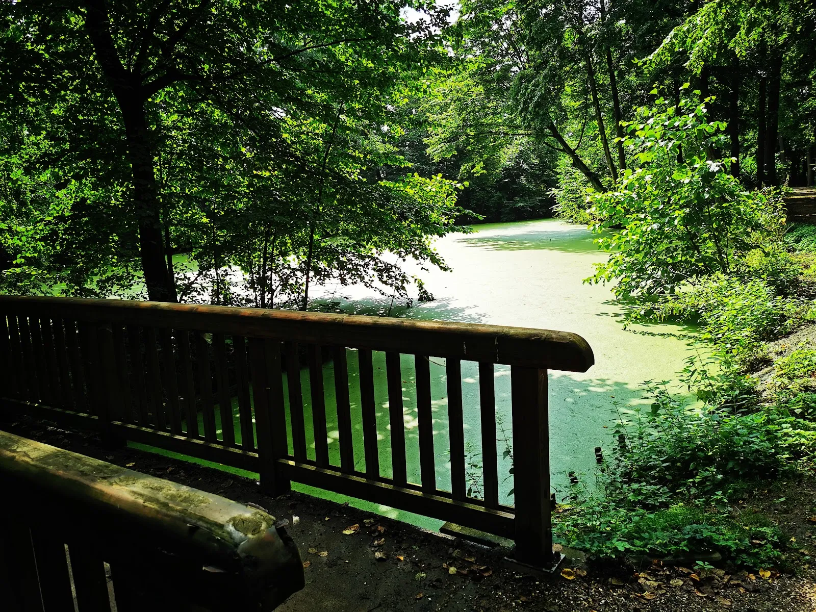 Парк Вольфскулен в Бремене