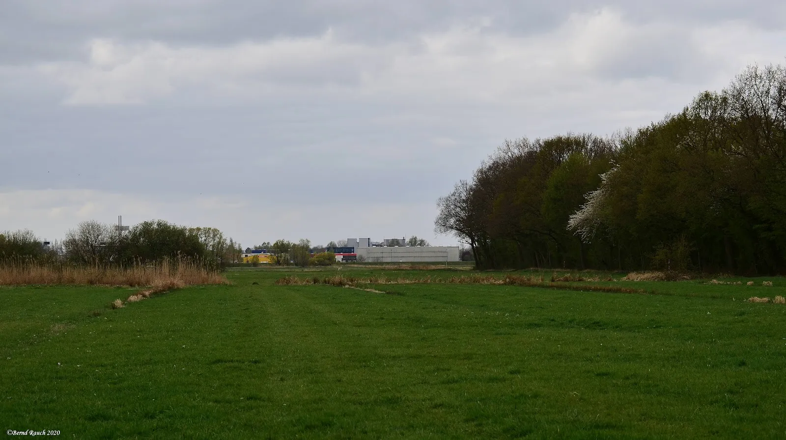 Парк Вольфскулен в Бремене