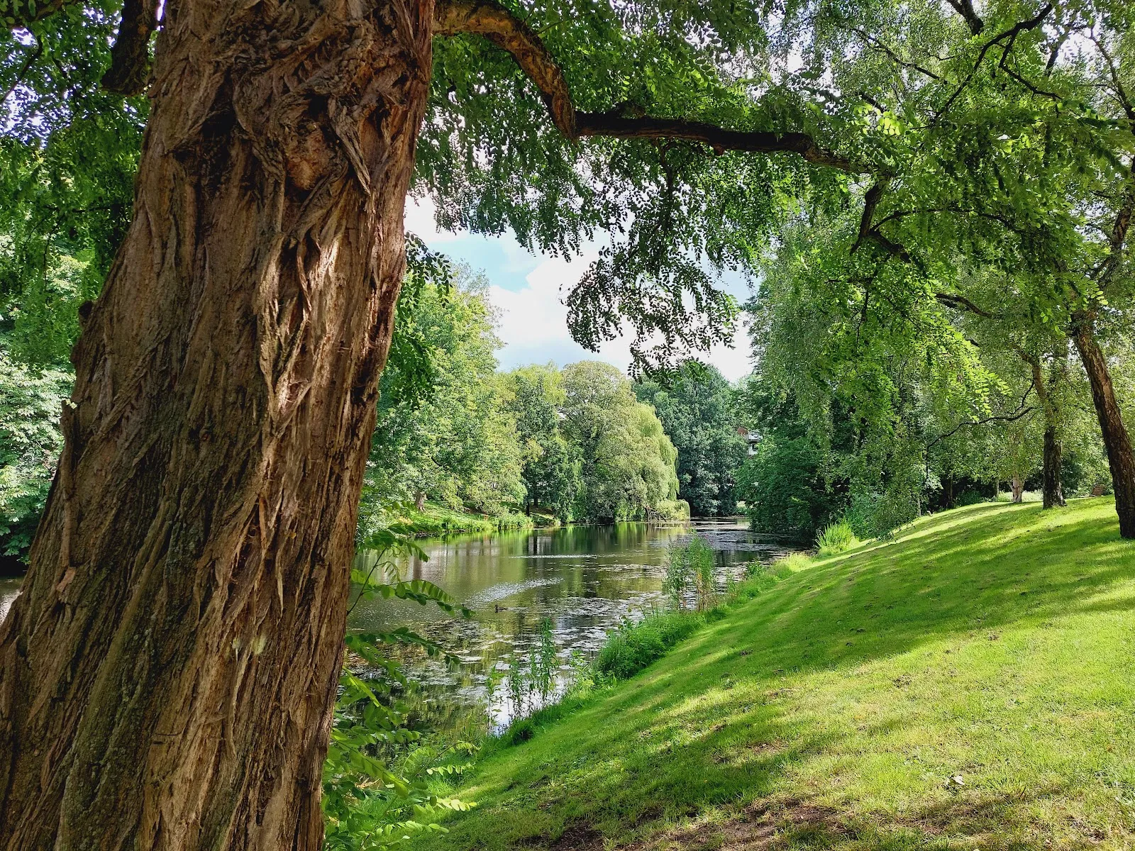 Парковые насаждения Валль