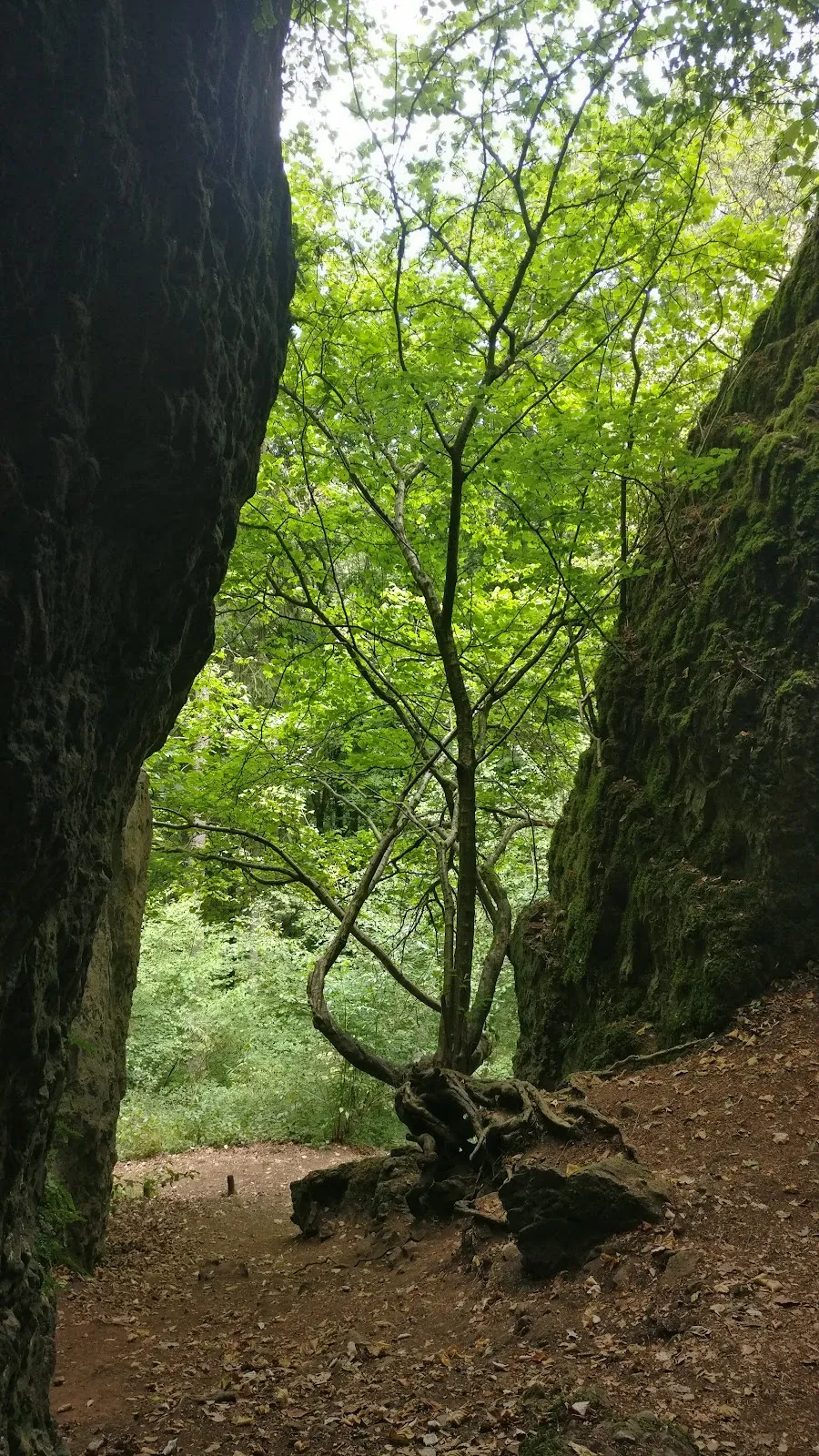 Вход в Пещеру Бухенлох, природная достопримечательность Германии