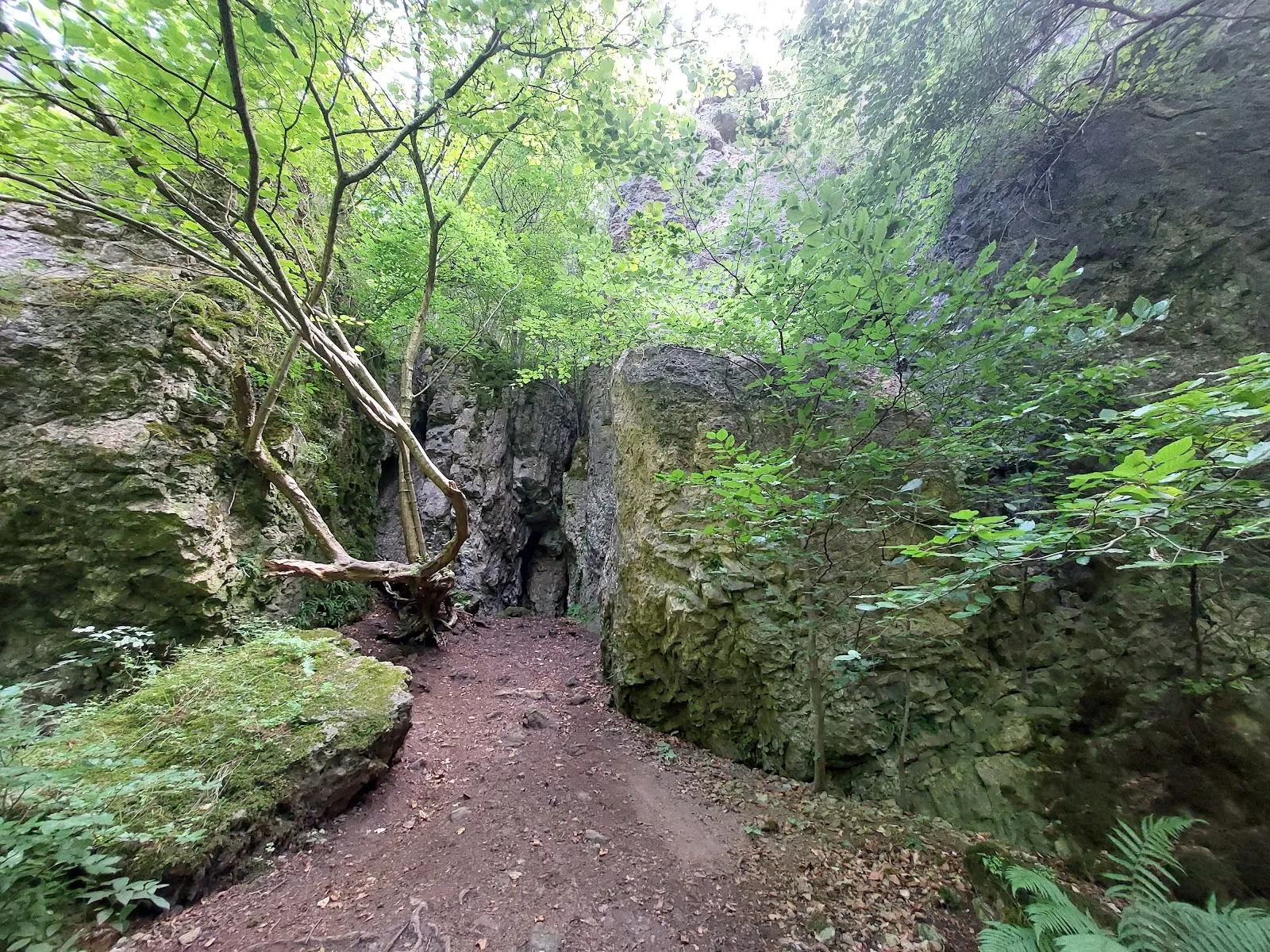 Вход в Пещеру Бухенлох, природная достопримечательность Германии