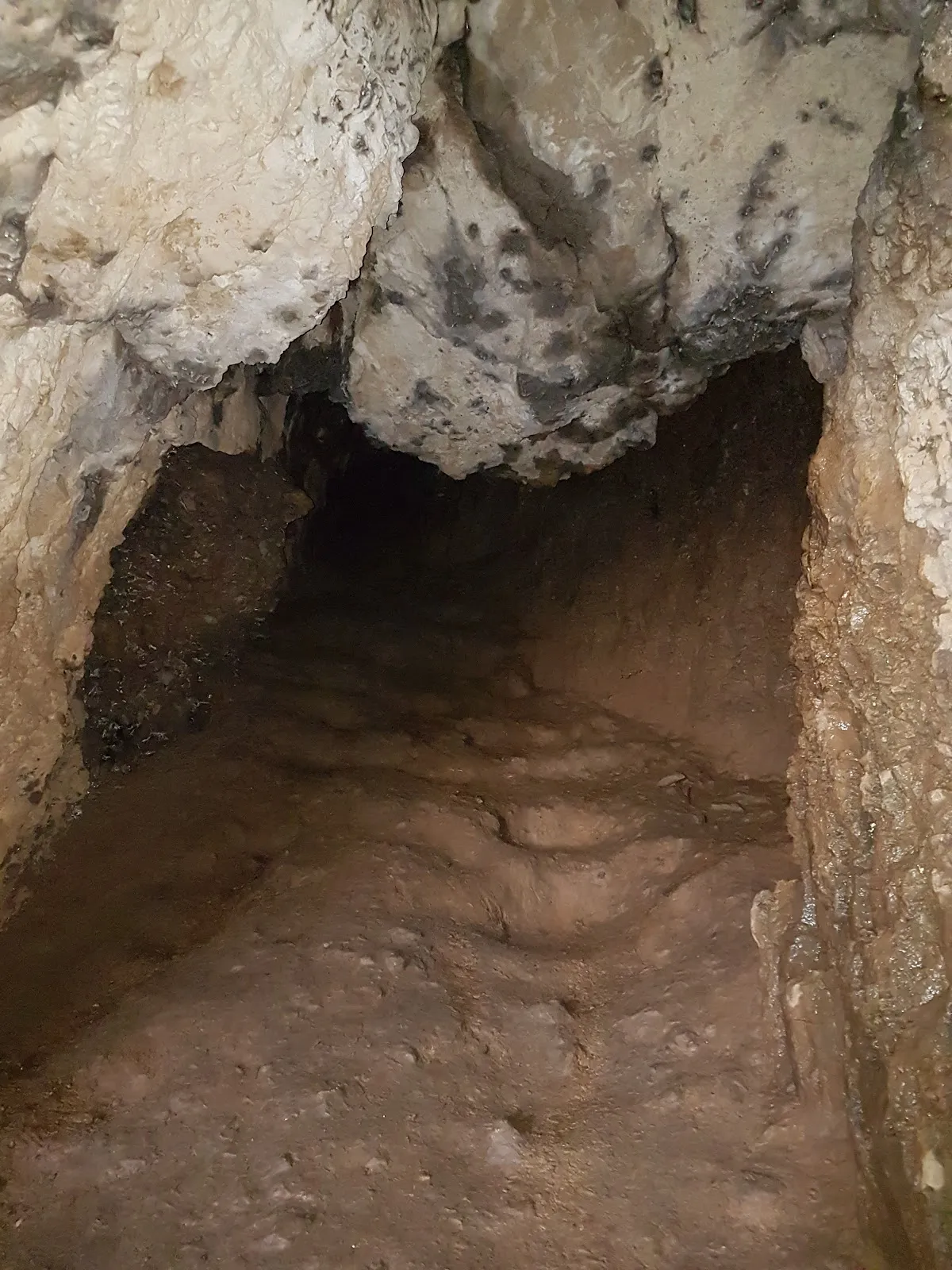 Вход в Пещеру Бухенлох, природная достопримечательность Германии