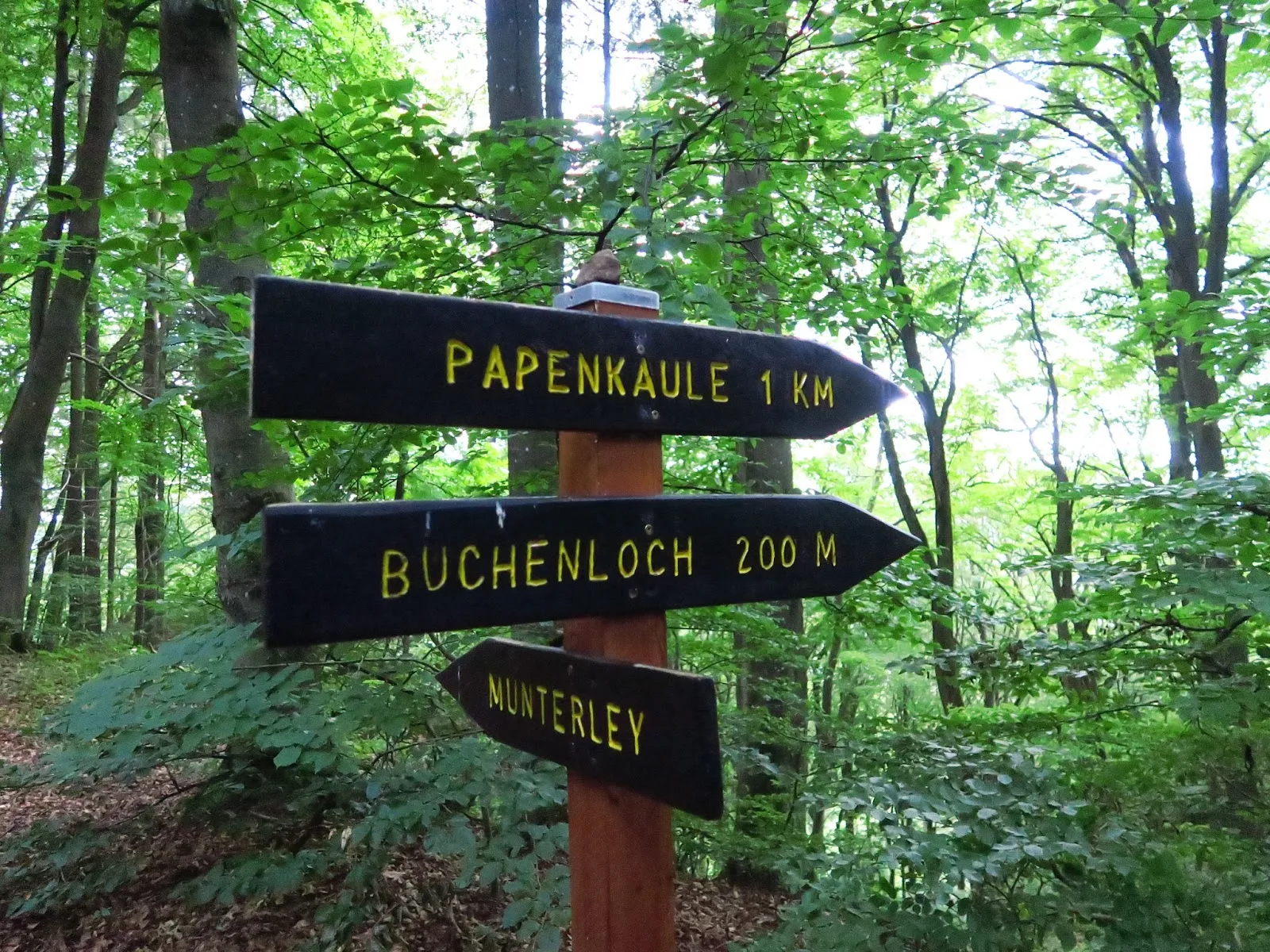 Вход в Пещеру Бухенлох, природная достопримечательность Германии