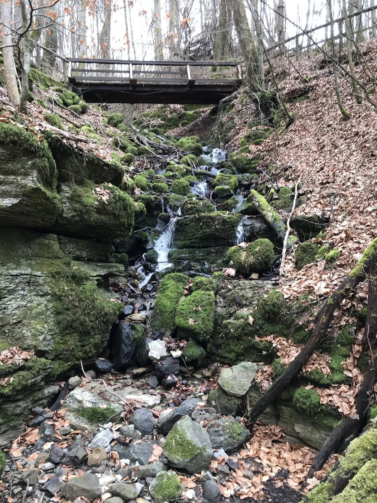 Вход в Пещеру Дьявола в Штайнау, Германия