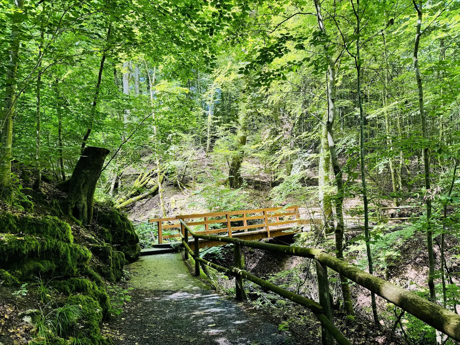 Вход в Пещеру Дьявола в Штайнау, Германия