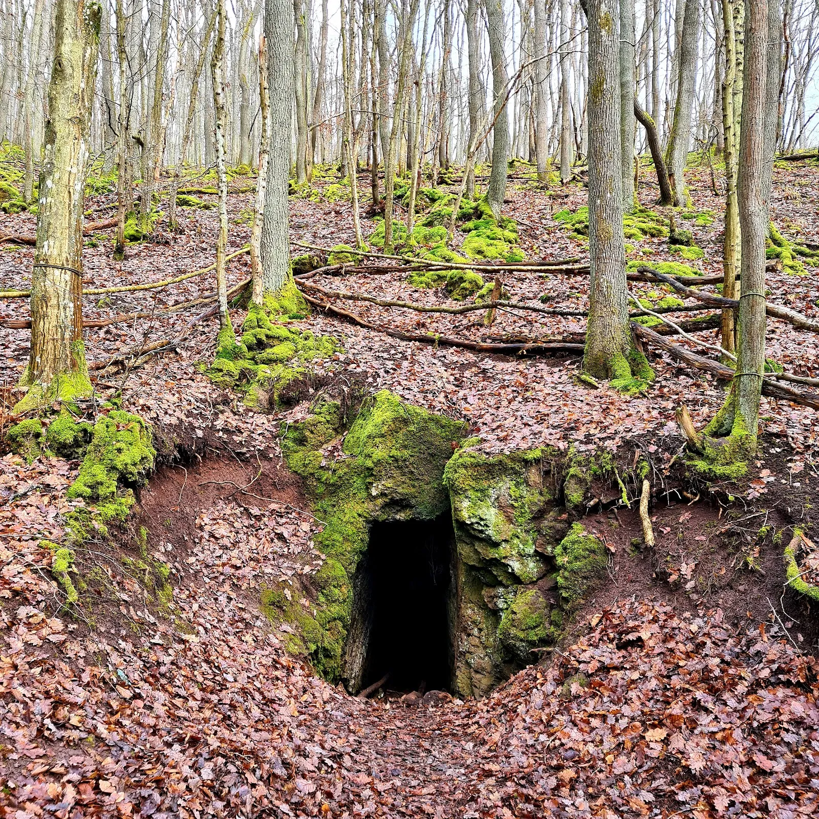 Пещера сталактитов Эрценхаузен