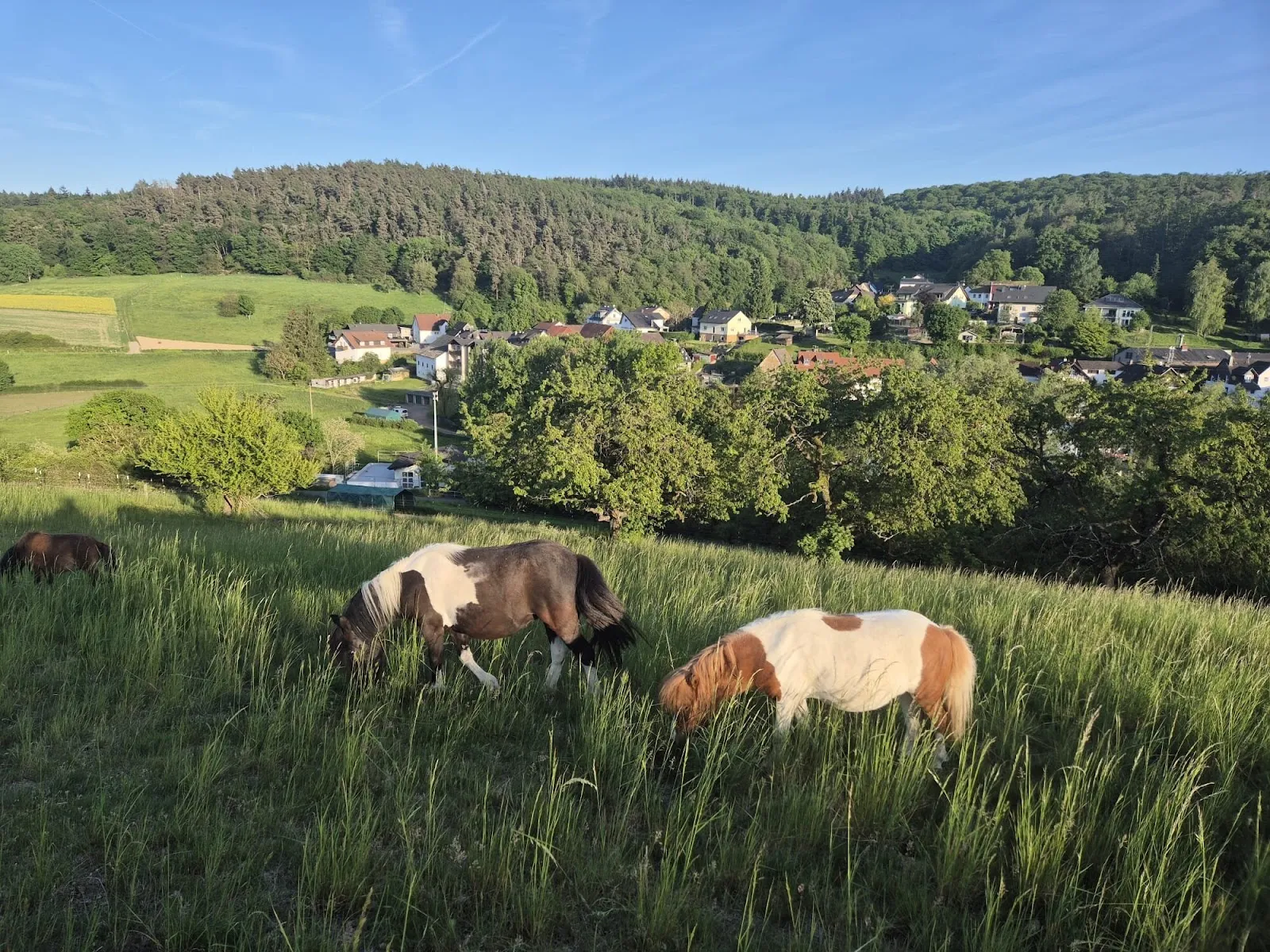 Вход в пещеры Вайтомо, Германия