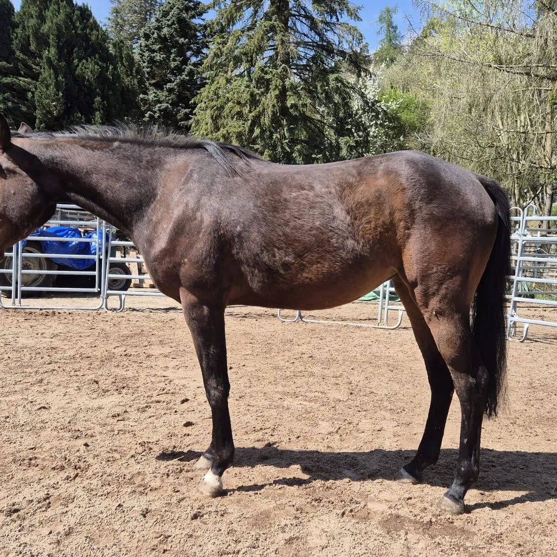 Вход в пещеры Вайтомо, Германия