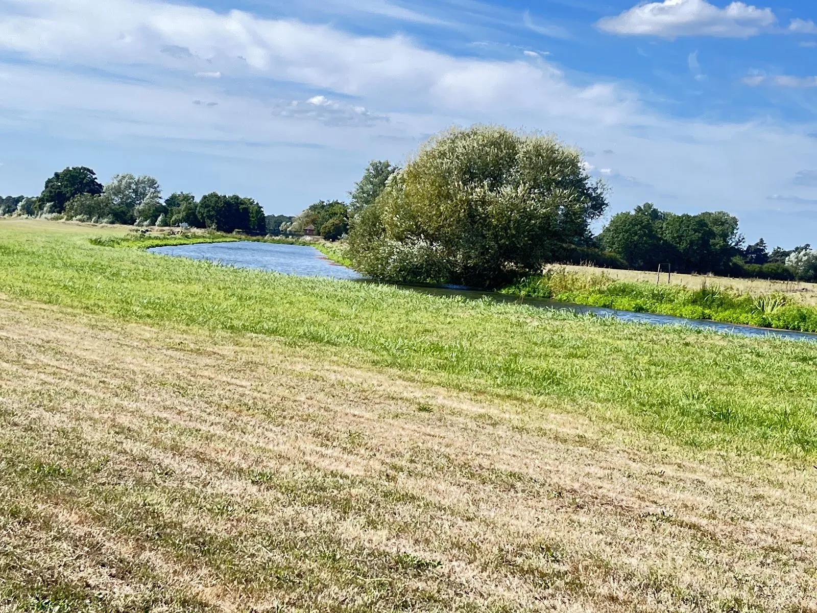 Пешеходный маршрут Альтенцелле C1, лес