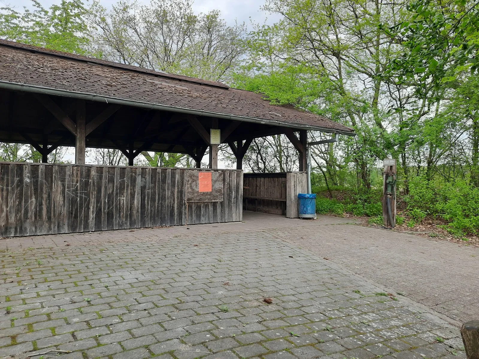 Пешеходный маршрут Альтенцелле C1, лес