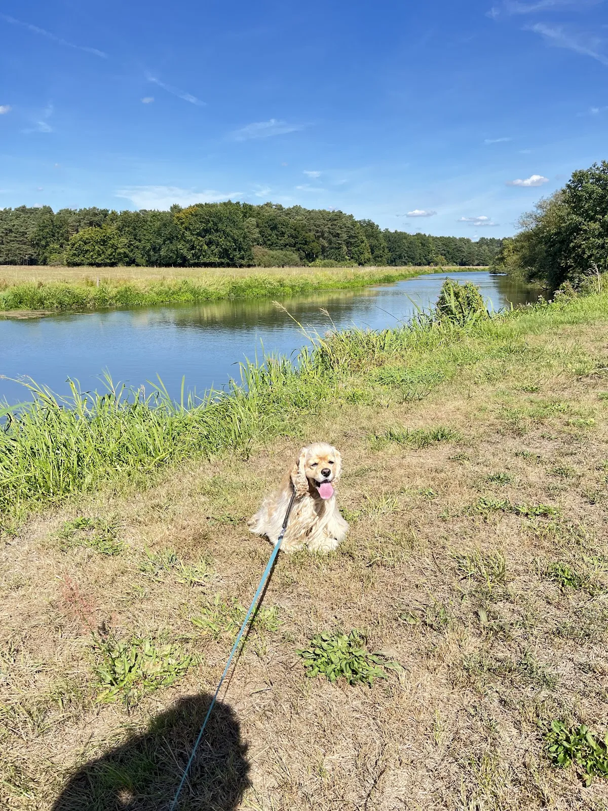 Пешеходный маршрут Альтенцелле C1, лес