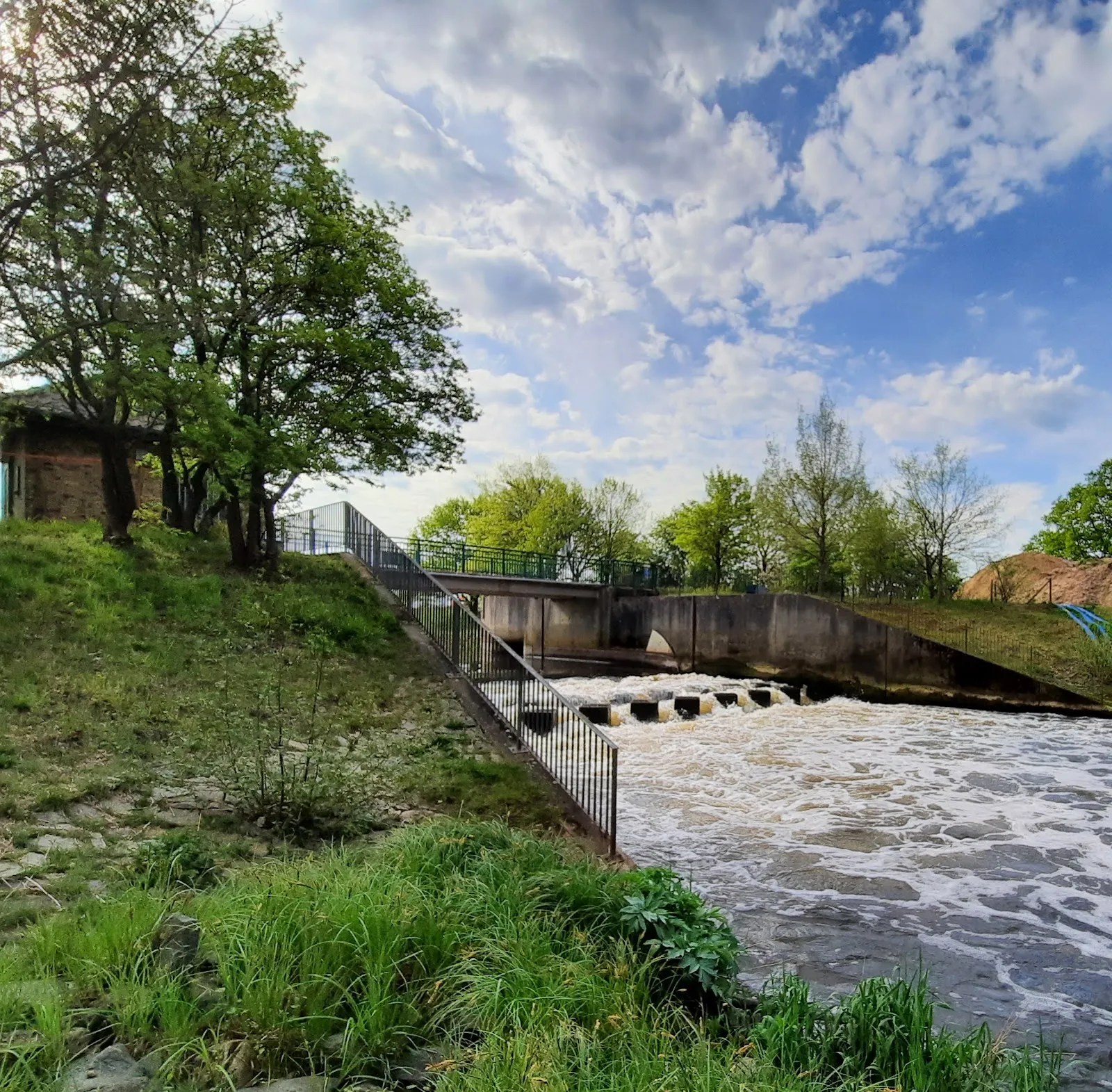 Пешеходный маршрут Альтенцелле C1, лес