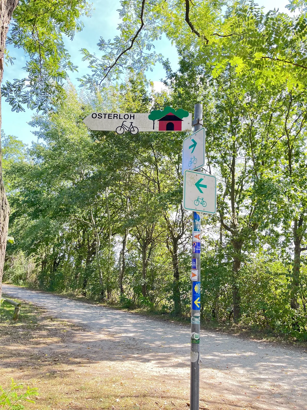 Пешеходный маршрут Альтенцелле C1, лес