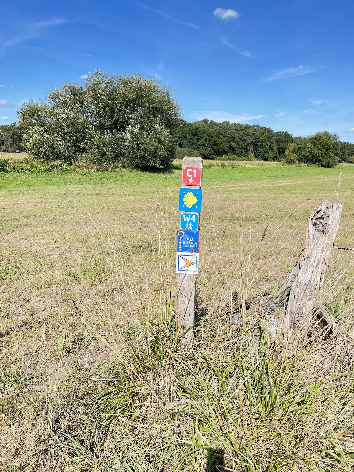 Пешеходный маршрут Альтенцелле C1, лес