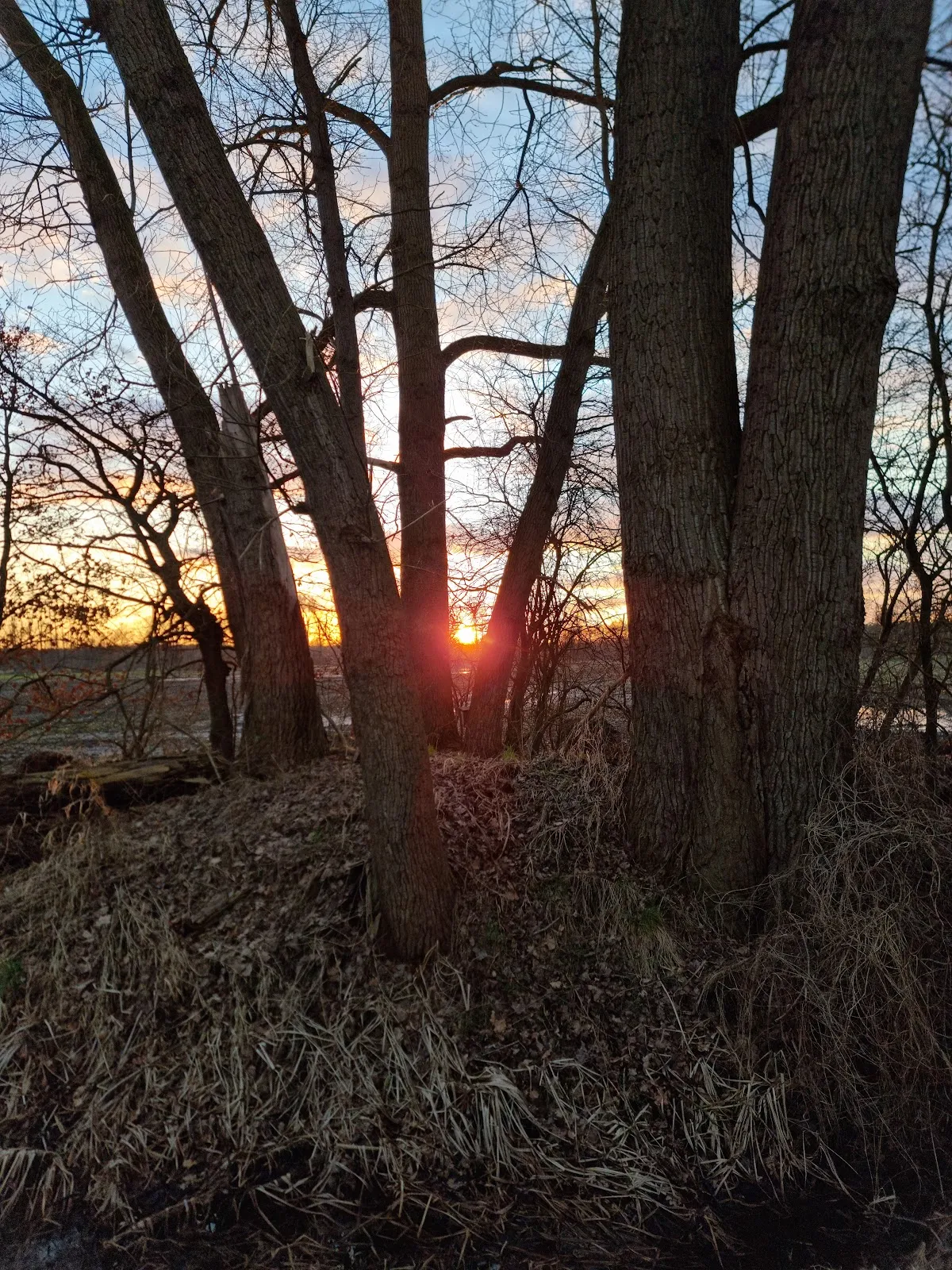 Пешеходный маршрут Альтенцелле C1, лес