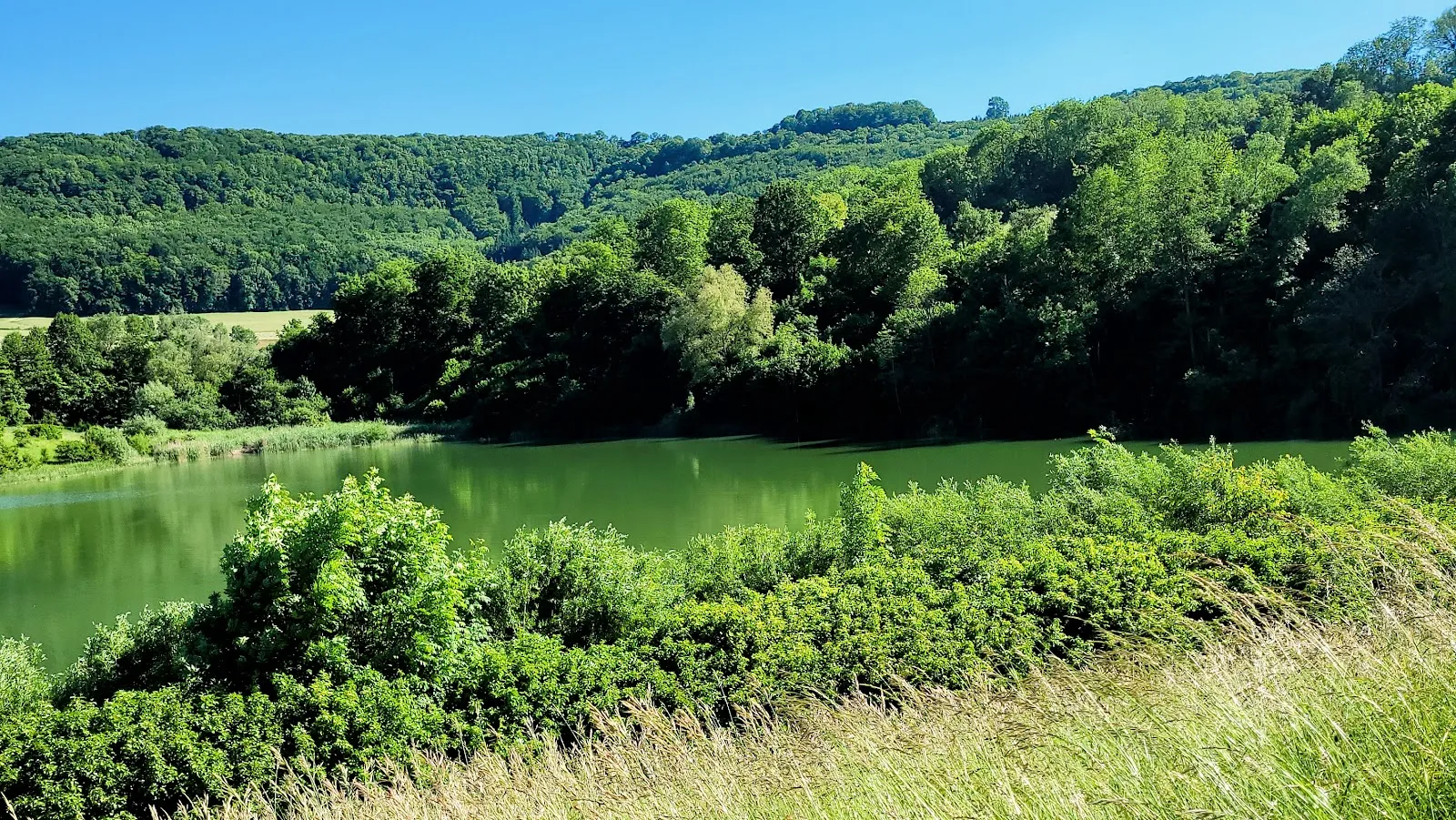 Плотина Саймонсбахталь